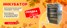 БОЛЬШАЯ РАСПРОДАЖА! Скидки - 5% на инкубаторы для яиц! БОЛЬШАЯ РАСПРОДАЖА! Скидки - 5% на инкубаторы для яиц!