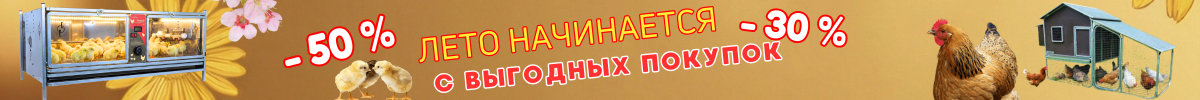 Лето начинается с выгодных покупок