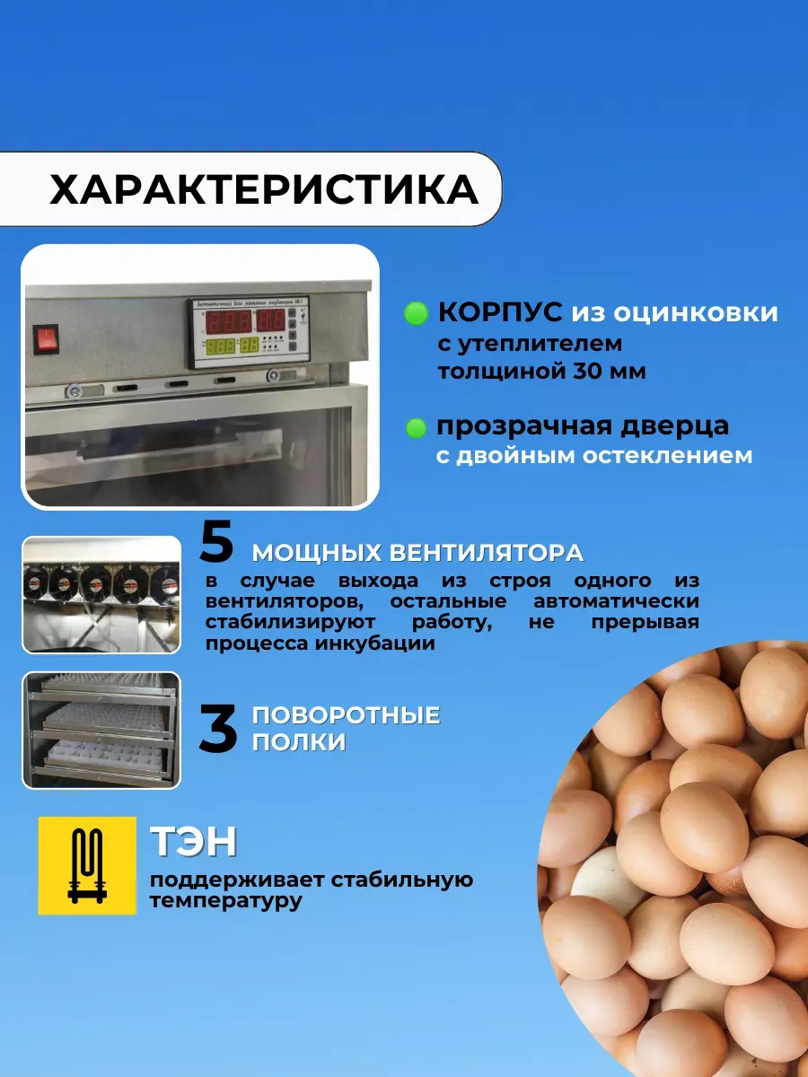 Инкубатор АИ-264 для всех видов яиц. Фото 3