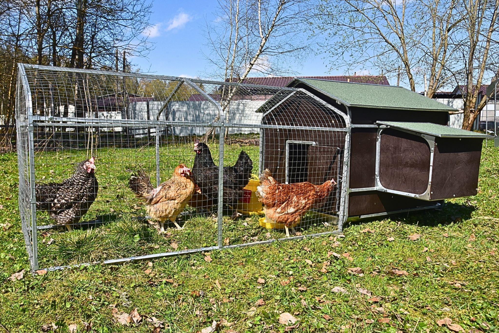 Курятник "Фаворит" на 8-10 кур. Фото 29