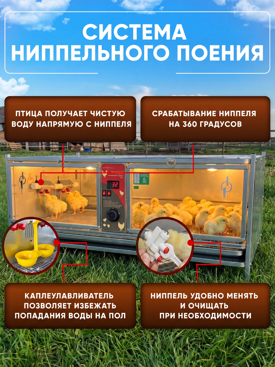 Рамный автоматический брудер 0714 Премиум. Фото 7