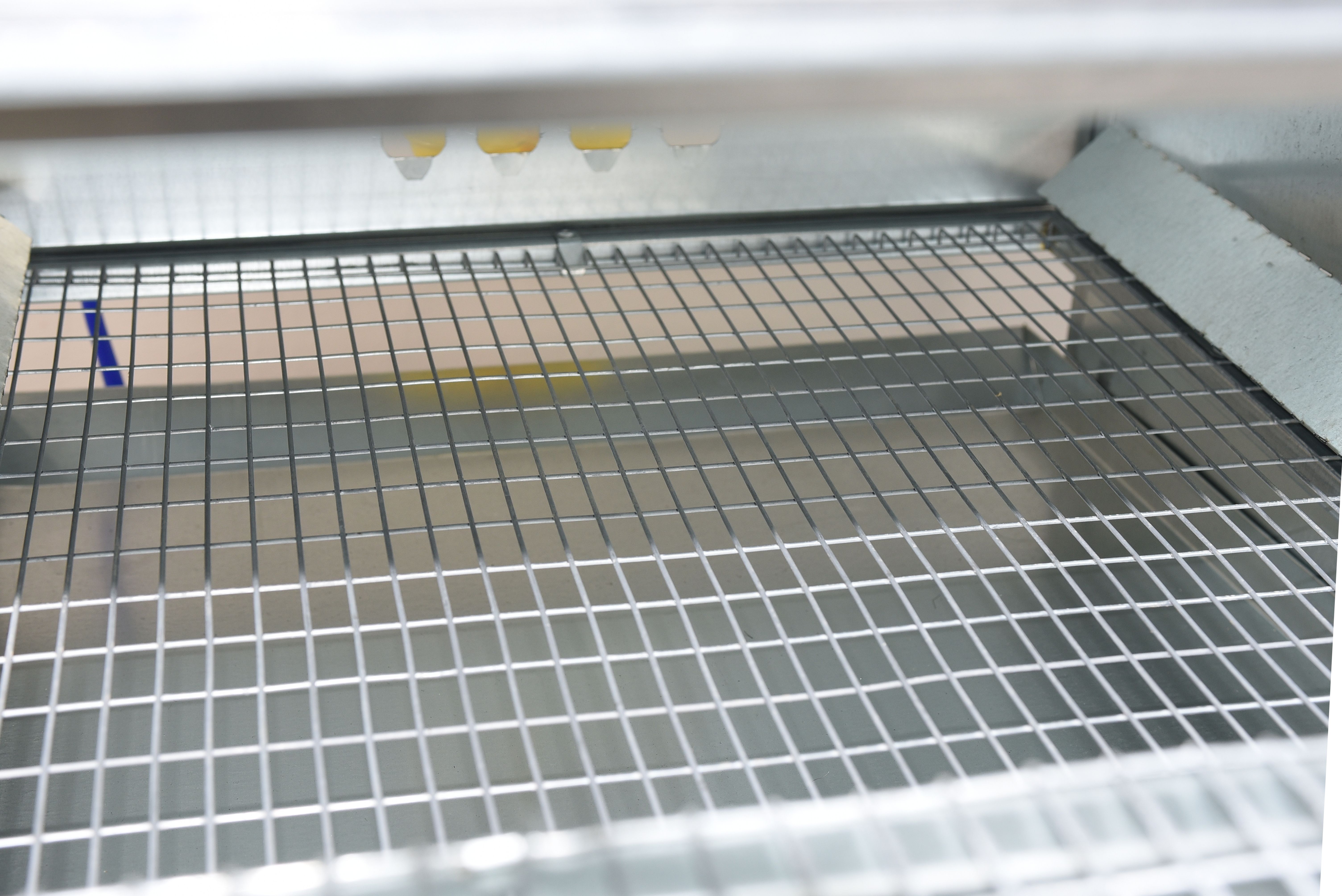 Рамная клетка для перепелов на 120 голов . Фото 28 Рамная клетка для перепелов на 120 голов . Фото 28