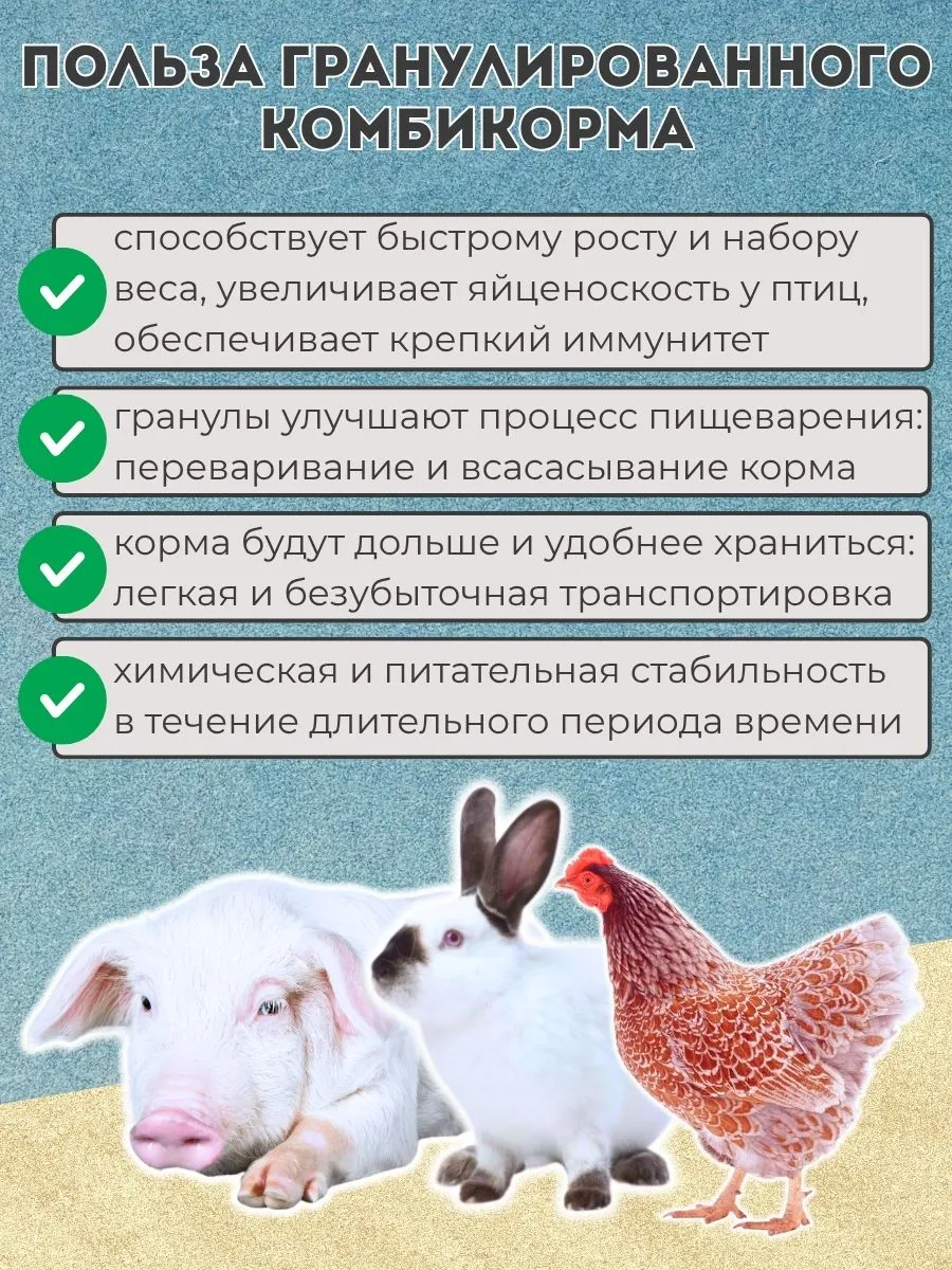 Гранулятор 150-200 кг/ч, 4 кВт, 220В  D матрицы 13.7 см. Фото 6