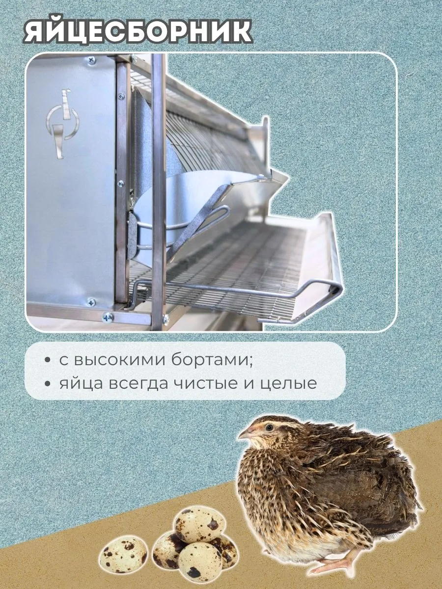 Клетка для перепелов "База-металл" на 165 голов "МультиПро". Фото 5