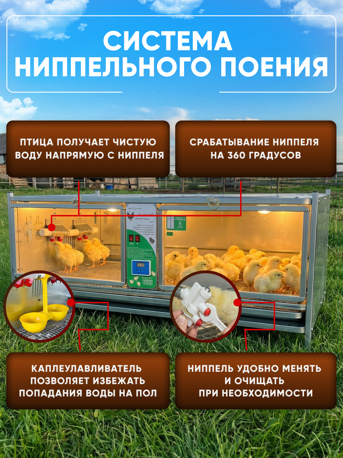 Рамный цифровой брудер 0715 Стандарт. Фото 8