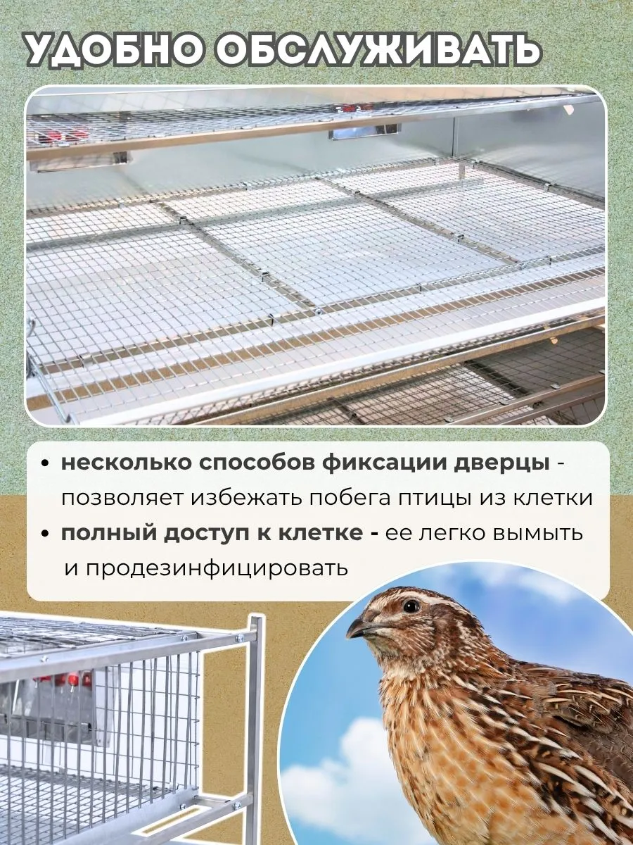 Клетка для перепелов "Практик-сетка" на 110 голов "МультиПро". Фото 6