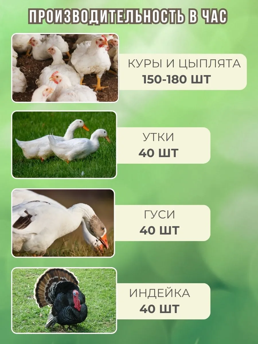 Шпарчан "Автоградус-4000". Фото 4 Шпарчан "Автоградус-4000". Фото 4