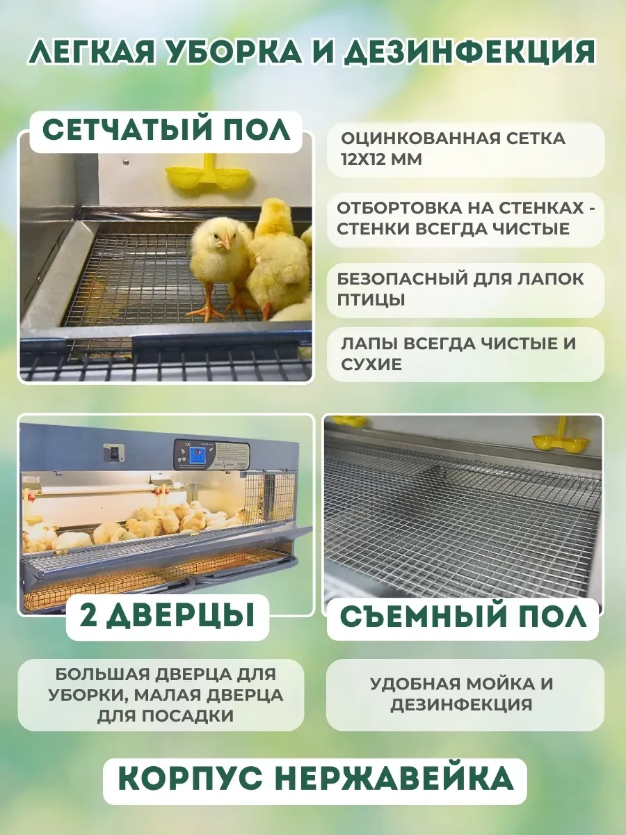 Брудер для цыплят "Проф 100 Н" с электронным терморегулятором корпус нержавейка. Фото 7