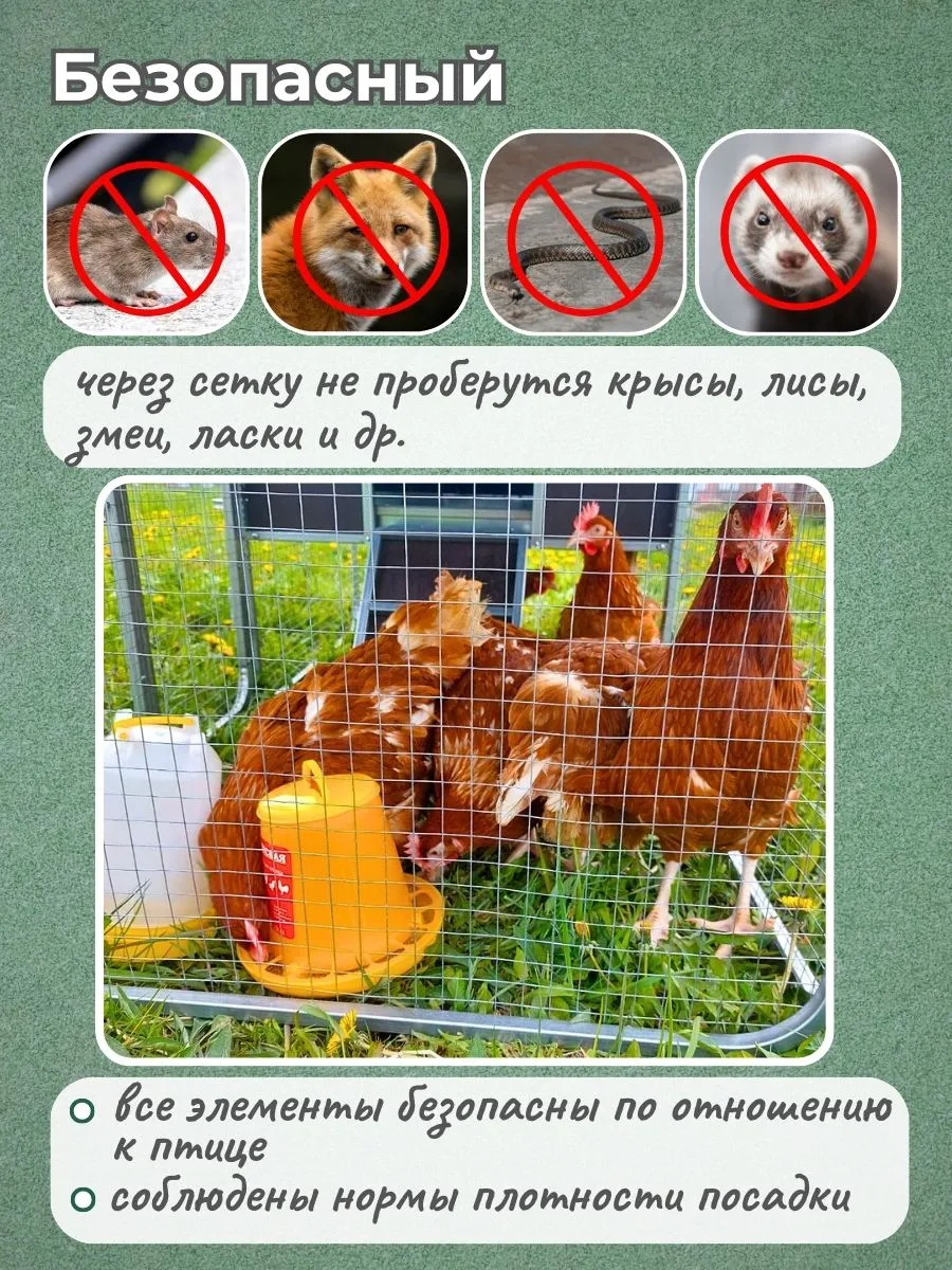 Выгул для курятника "Фазенда". Фото 7