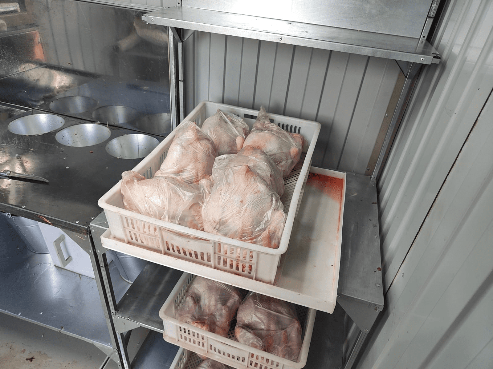 Убойный цех "ТЕХНОЛАЙН" 24/7. Фото 24 Убойный цех "ТЕХНОЛАЙН" 24/7. Фото 24