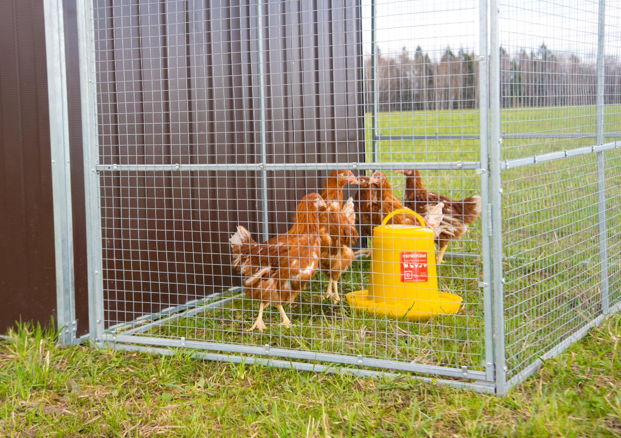 Выгул "Разгуляй" приставной с крышей 1-1-КП. Фото 5