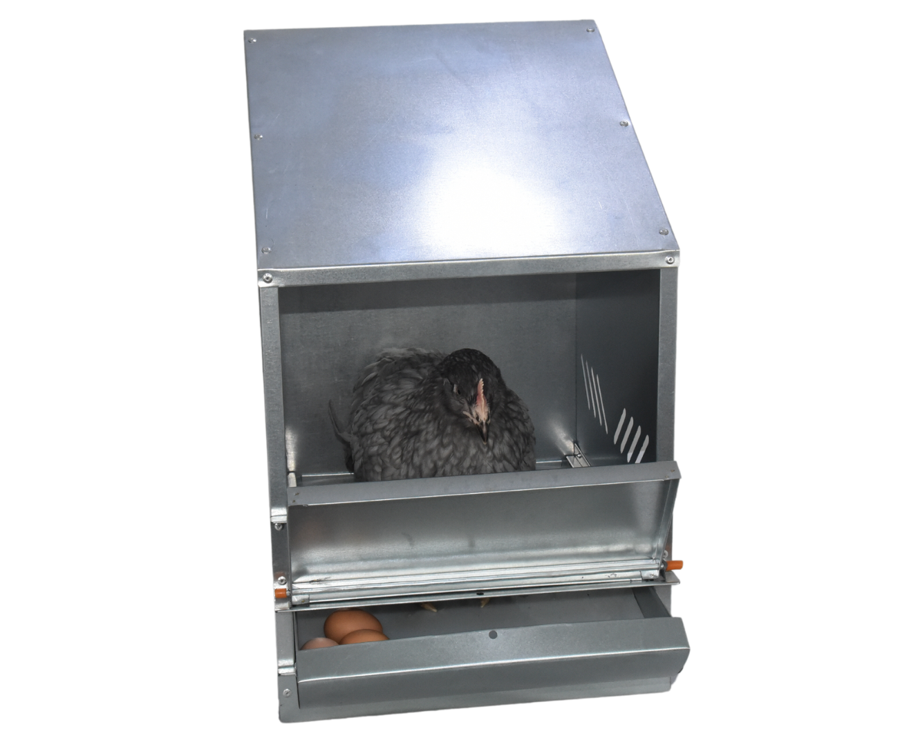 Гнездо для кур-несушек 1-1. Фото 6