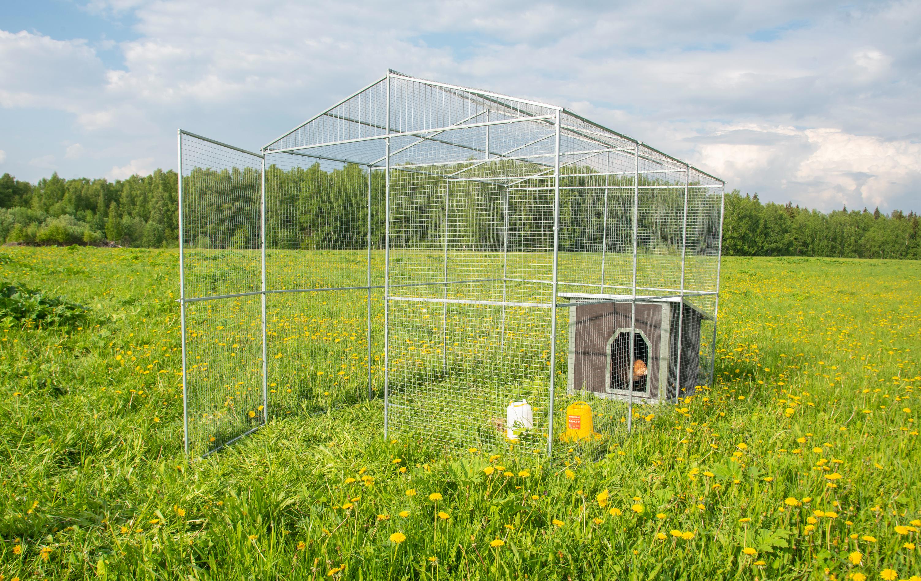 Выгул "Разгуляй" с крышей 2-6-К. Фото 9 Выгул "Разгуляй" с крышей 2-6-К. Фото 9