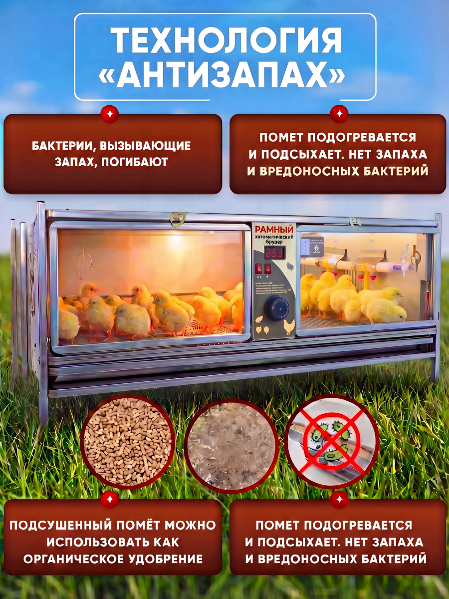 Рамный автоматический брудер 0713 Престиж. Фото 5