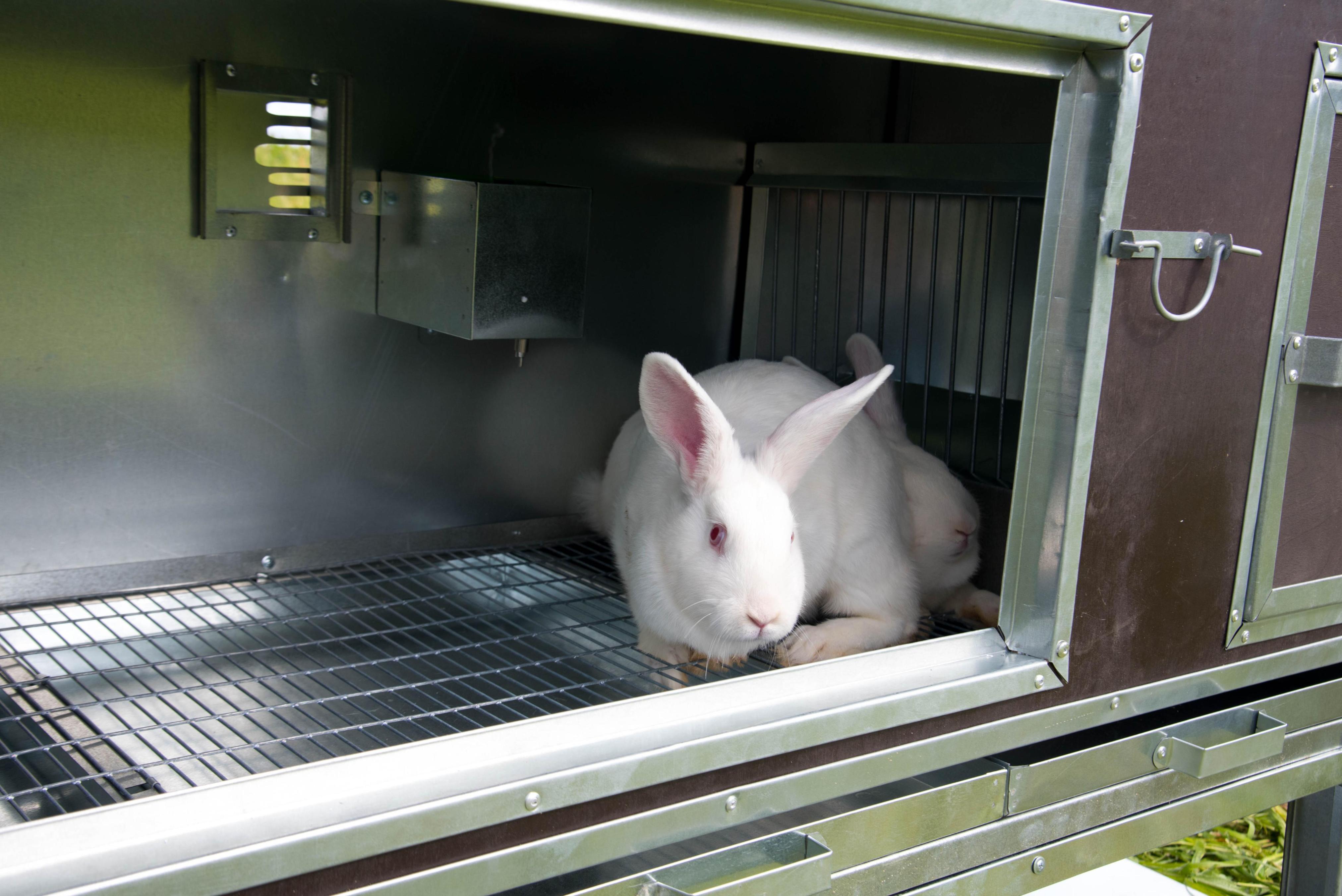 Утепленный отапливаемый крольчатник "Бестселлер" О-22. Фото 10