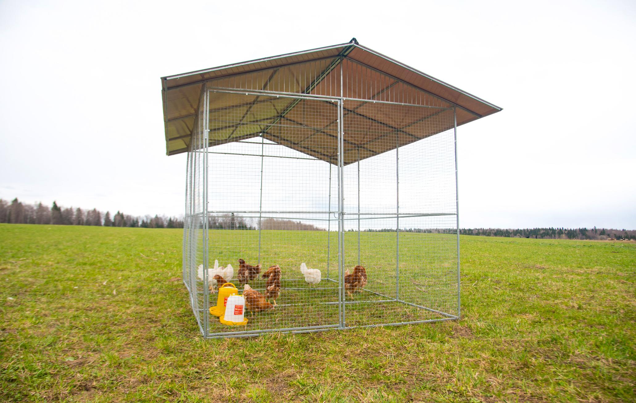 Выгул "Разгуляй" с крышей 2-6-К. Фото 2 Выгул "Разгуляй" с крышей 2-6-К. Фото 2