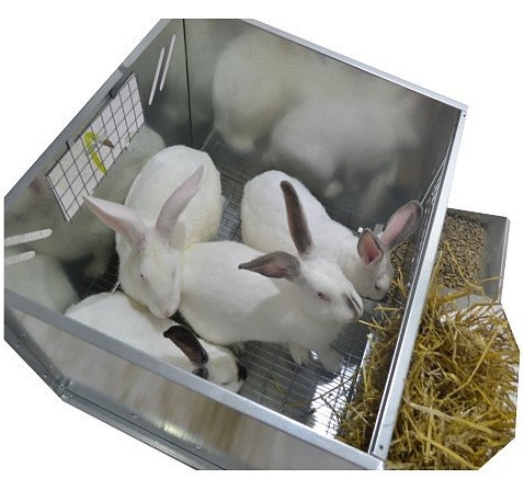 Клетка для откорма кроликов "ПРОФЕССИОНАЛ"-55-КО-3. Фото 8 Клетка для откорма кроликов "ПРОФЕССИОНАЛ"-55-КО-3. Фото 8