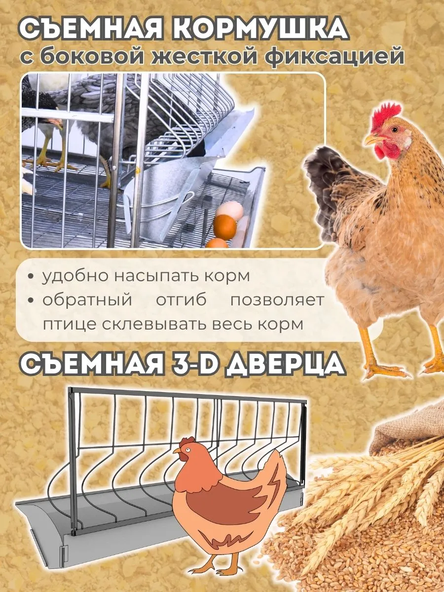Клетка для кур-несушек "База-сетка" 3-12 "МультиПро". Фото 2 Клетка для кур-несушек "База-сетка" 3-12 "МультиПро". Фото 2