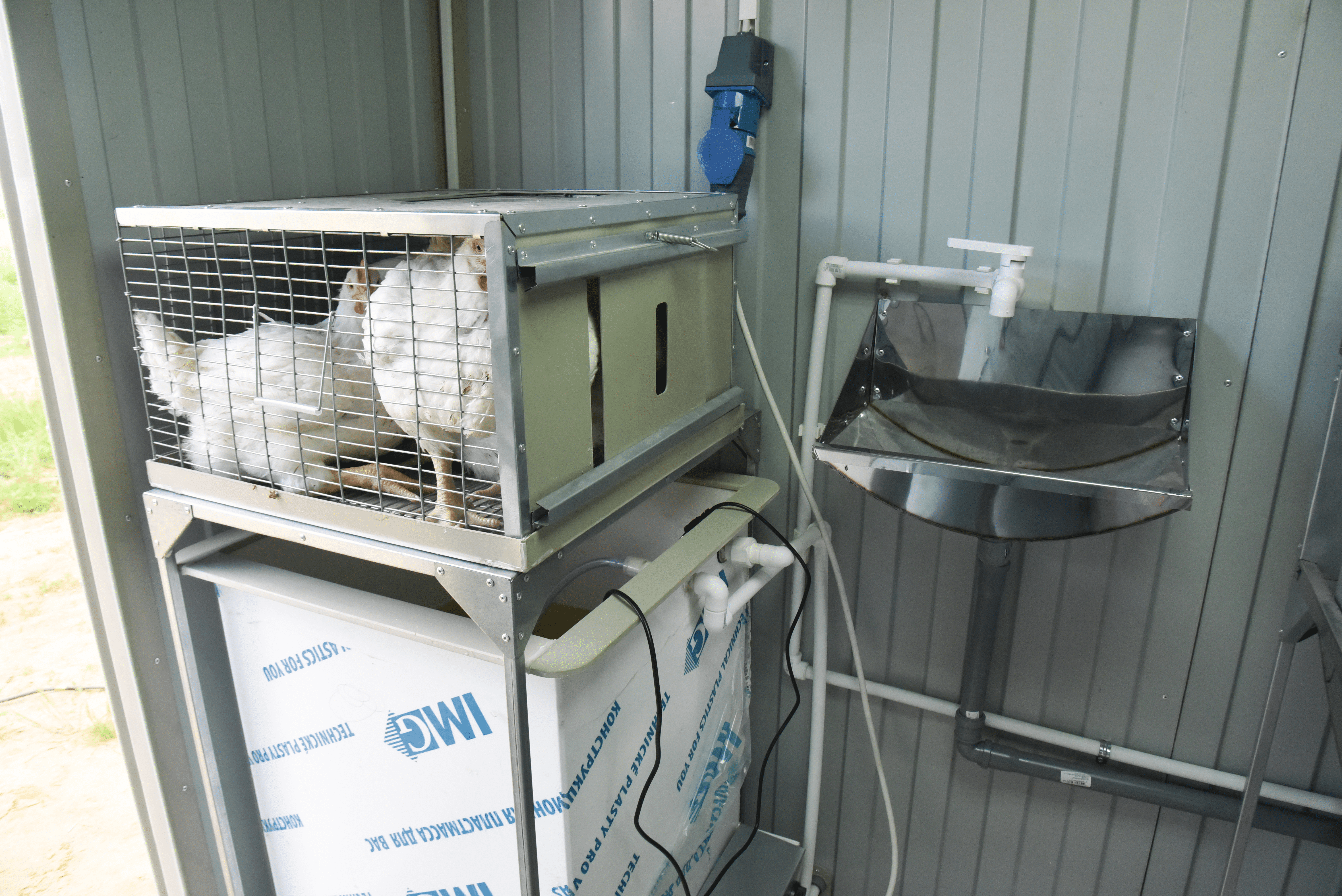 Убойный цех "ТЕХНОЛАЙН" 24/7. Фото 23 Убойный цех "ТЕХНОЛАЙН" 24/7. Фото 23