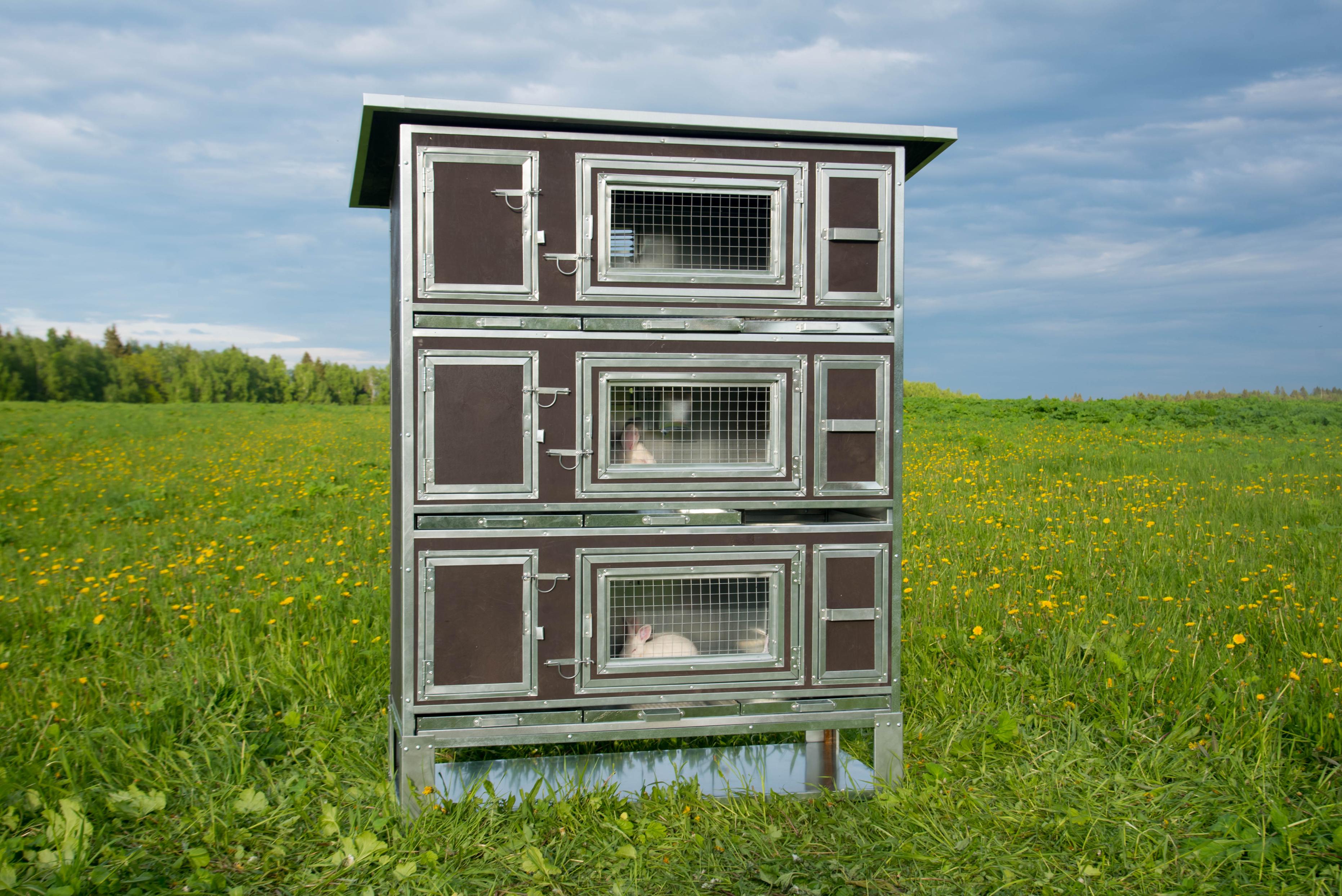 Утепленный отапливаемый крольчатник "Бестселлер" М-13. Фото 9 Утепленный отапливаемый крольчатник "Бестселлер" М-13. Фото 9