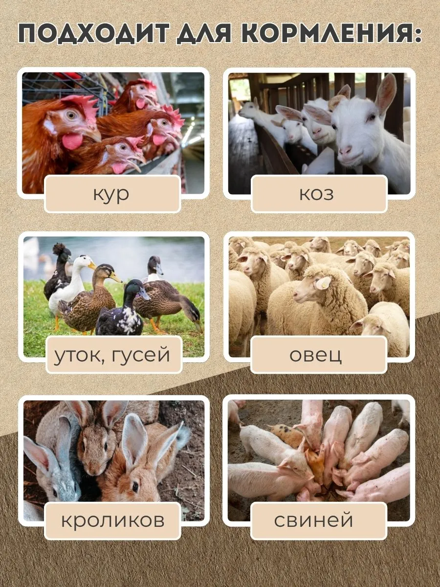 Бункер кормовой автоматический "Дозатор 45". Фото 5 Бункер кормовой автоматический "Дозатор 45". Фото 5