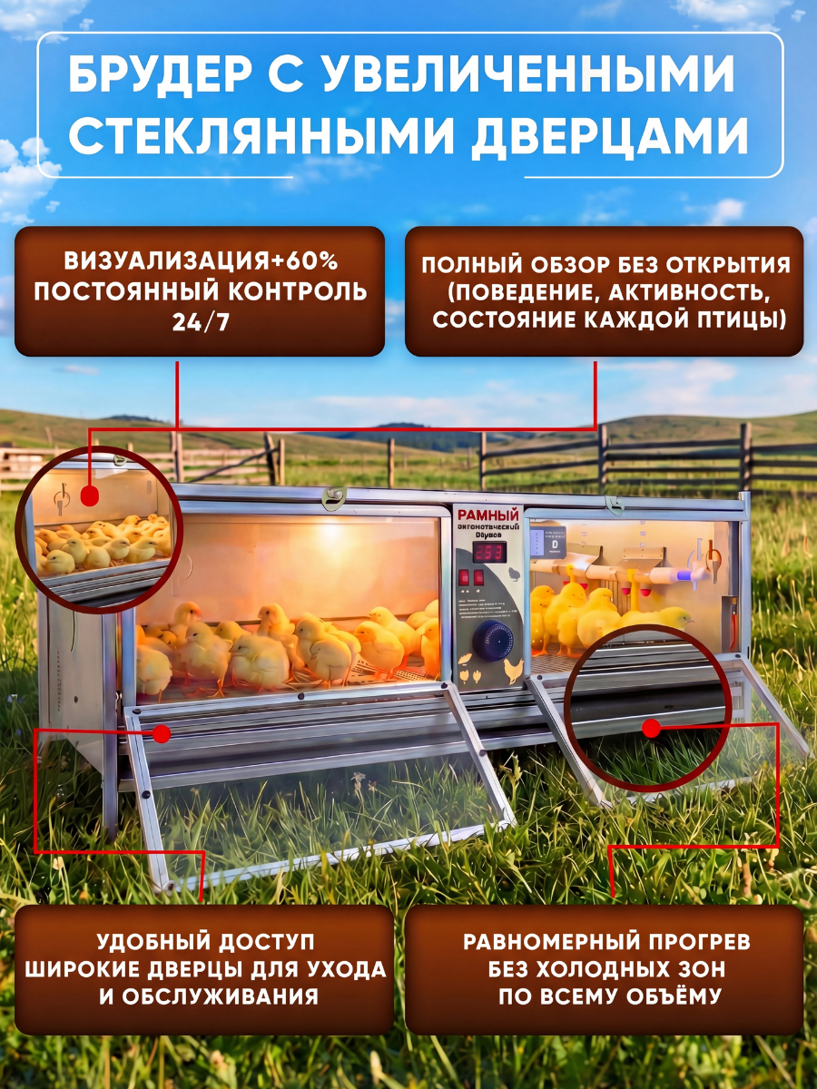 Рамный автоматический брудер 0713 Престиж. Фото 6