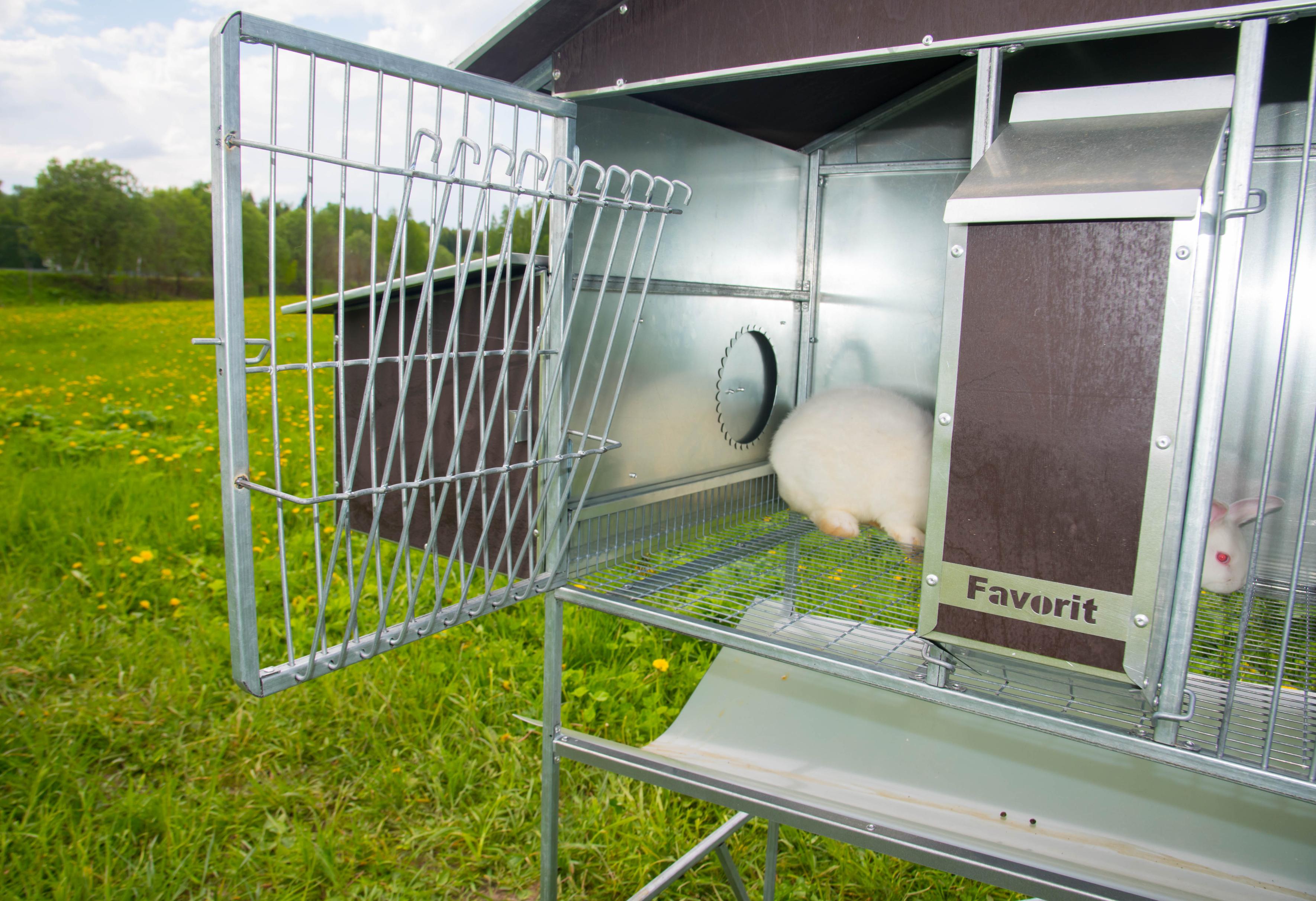 Уличный домик для кроликов "Фаворит" КР2-М-М. Фото 12 Уличный домик для кроликов "Фаворит" КР2-М-М. Фото 12