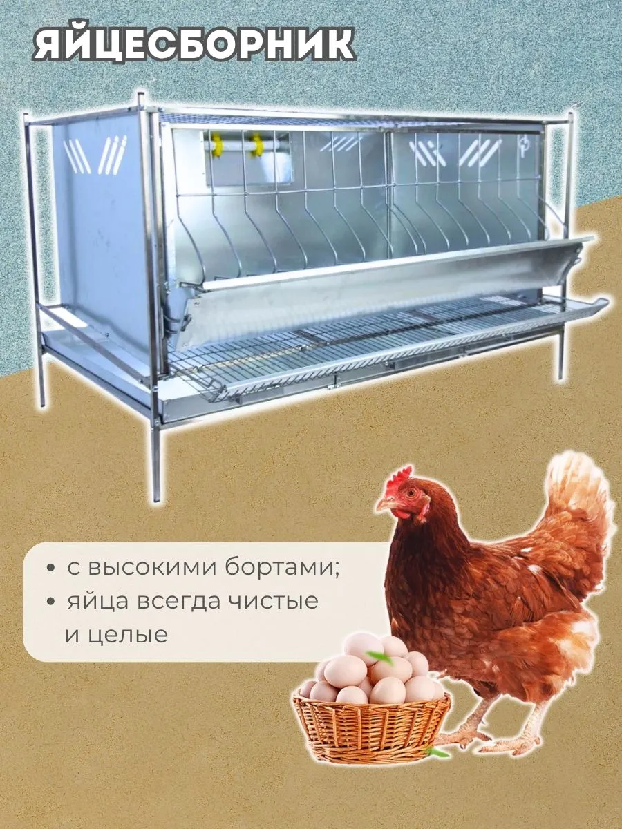 Клетка для кур-несушек "База-металл" 2-12 "МультиПро". Фото 5