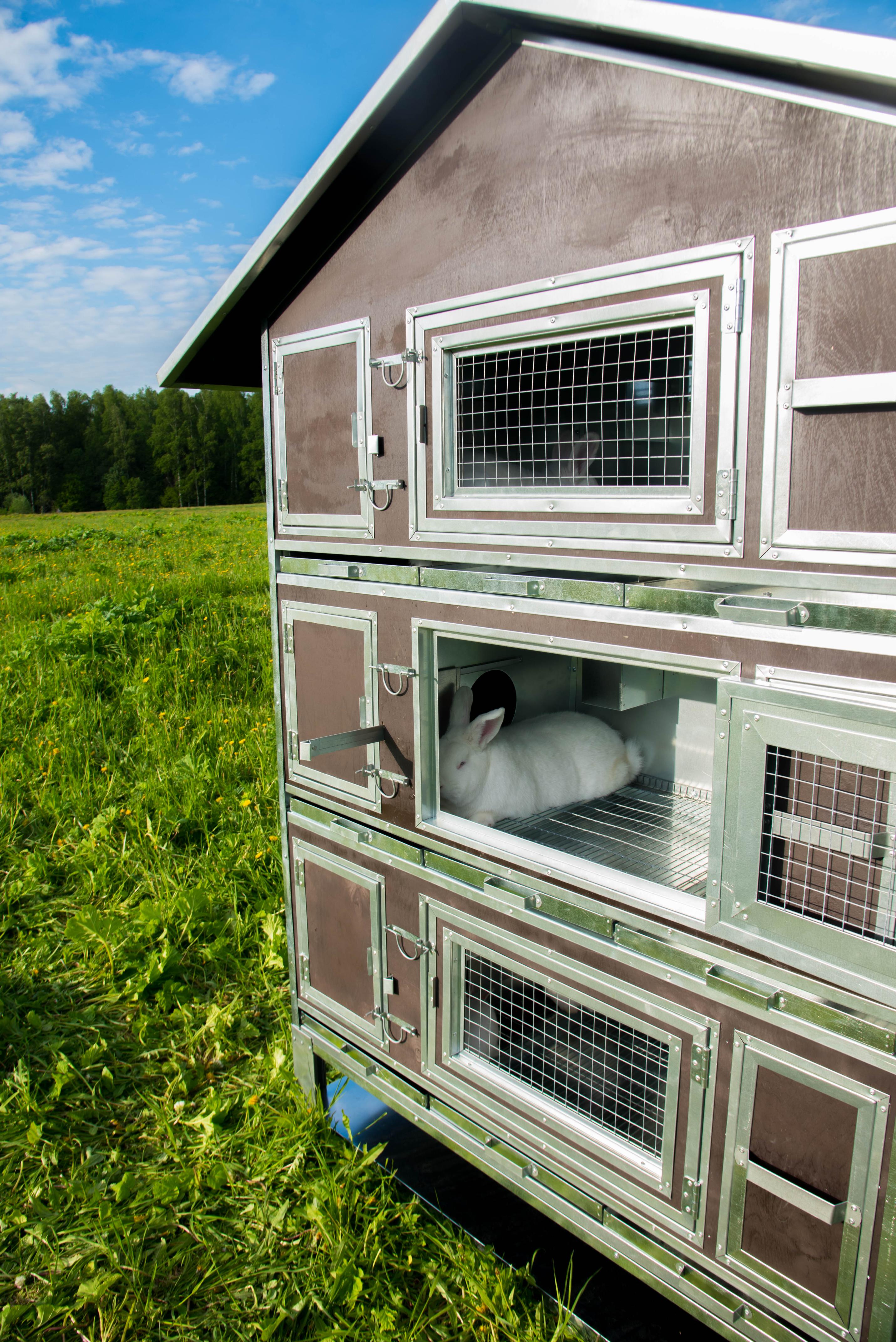 Утепленный отапливаемый крольчатник "Бестселлер" М-23. Фото 5