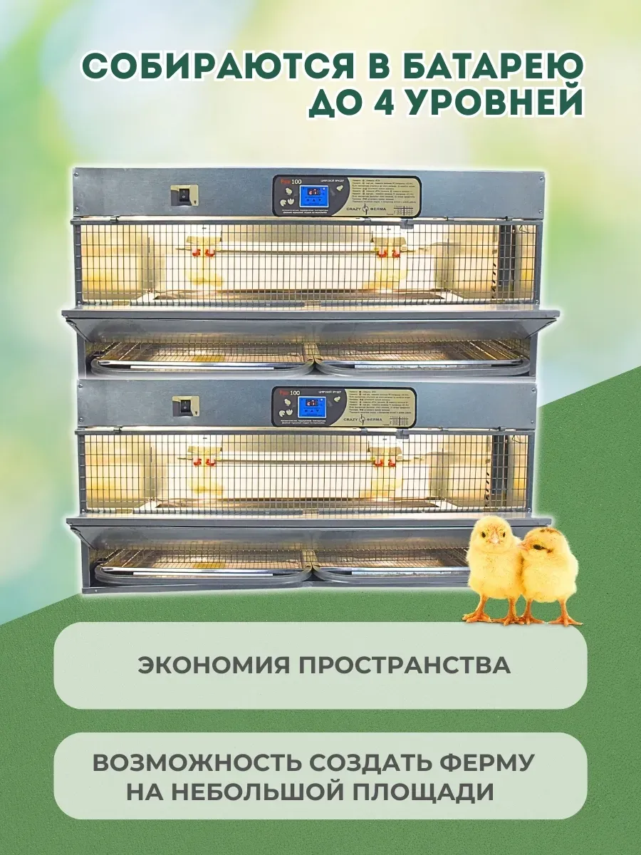 Брудер для цыплят "Проф 100 Н" с электронным терморегулятором корпус нержавейка. Фото 9