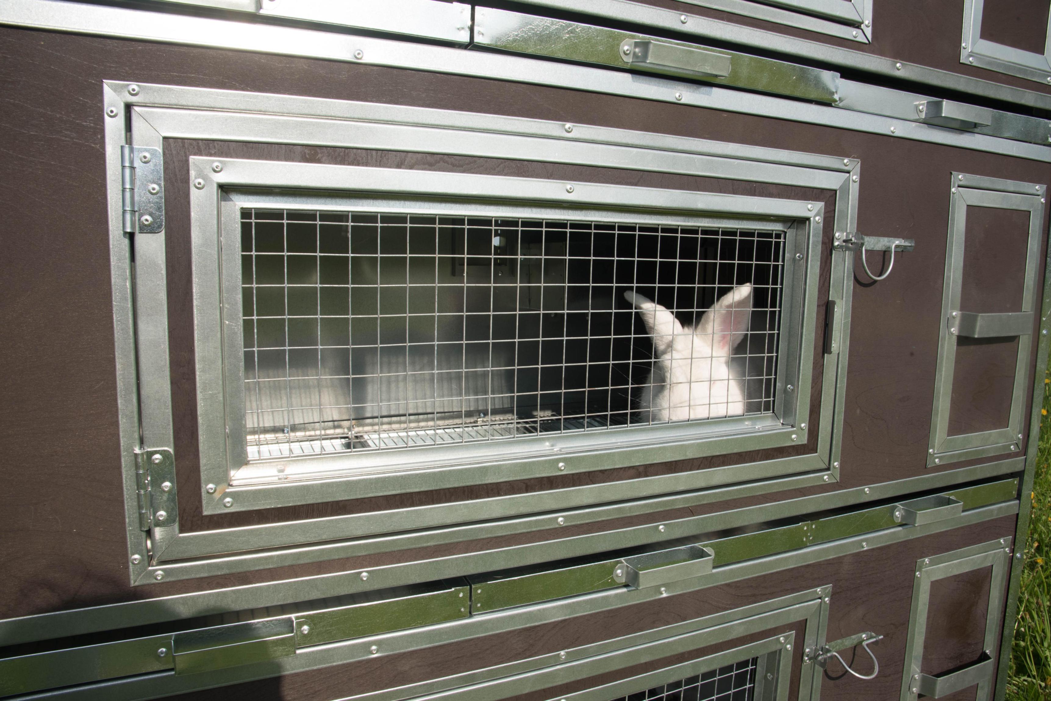 Утепленный отапливаемый крольчатник "Бестселлер" О-12. Фото 14 Утепленный отапливаемый крольчатник "Бестселлер" О-12. Фото 14