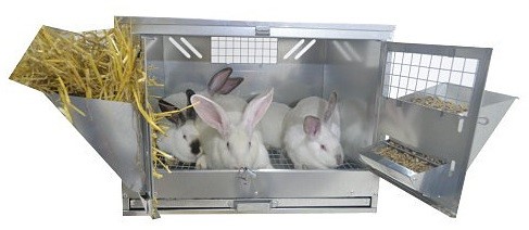 Клетка для откорма кроликов "ПРОФЕССИОНАЛ"-55-КО-1. Фото 3 Клетка для откорма кроликов "ПРОФЕССИОНАЛ"-55-КО-1. Фото 3