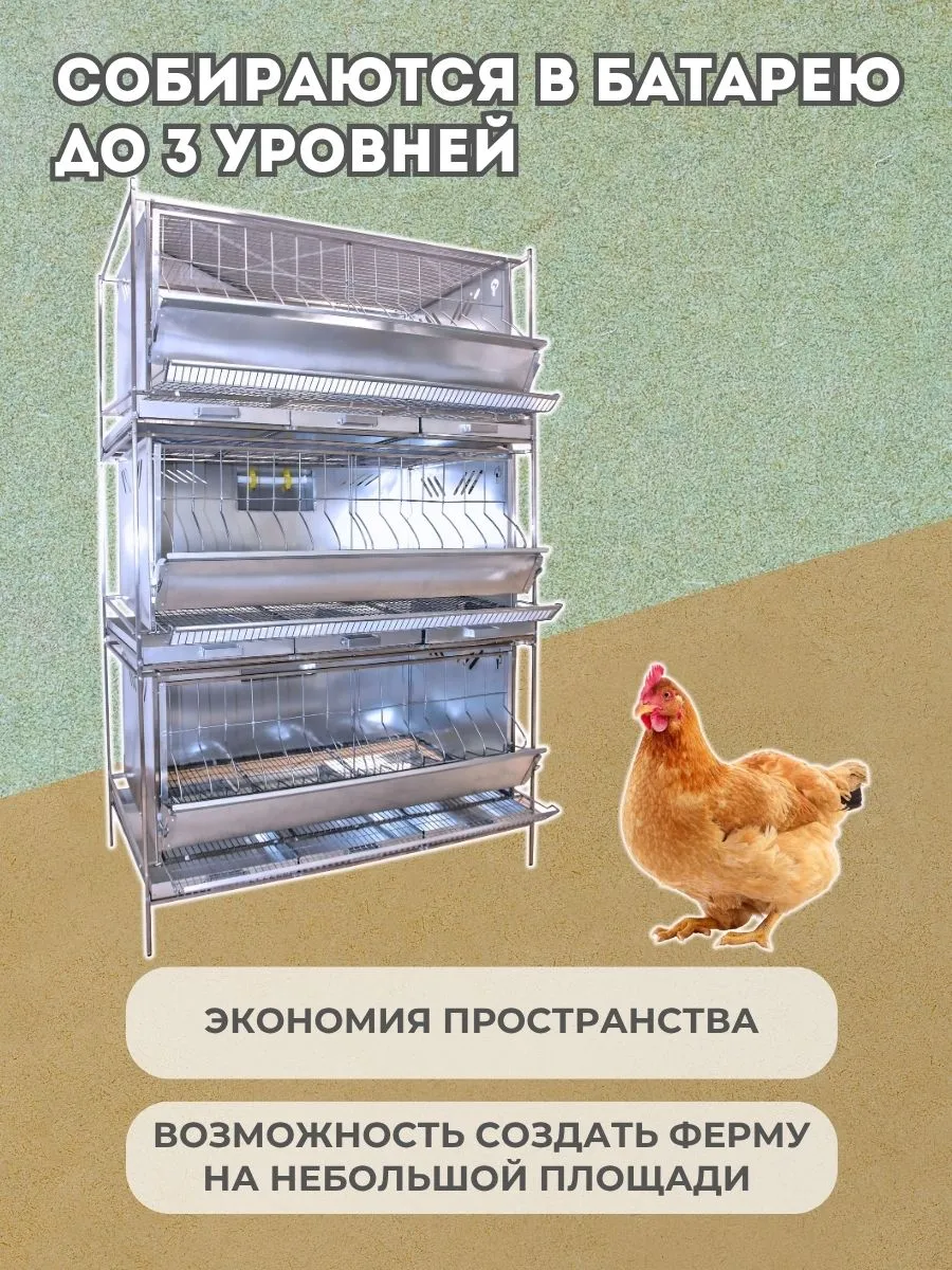 Клетка для кур-несушек "Практик-металл" 3-12 "МультиПро". Фото 6 Клетка для кур-несушек "Практик-металл" 3-12 "МультиПро". Фото 6