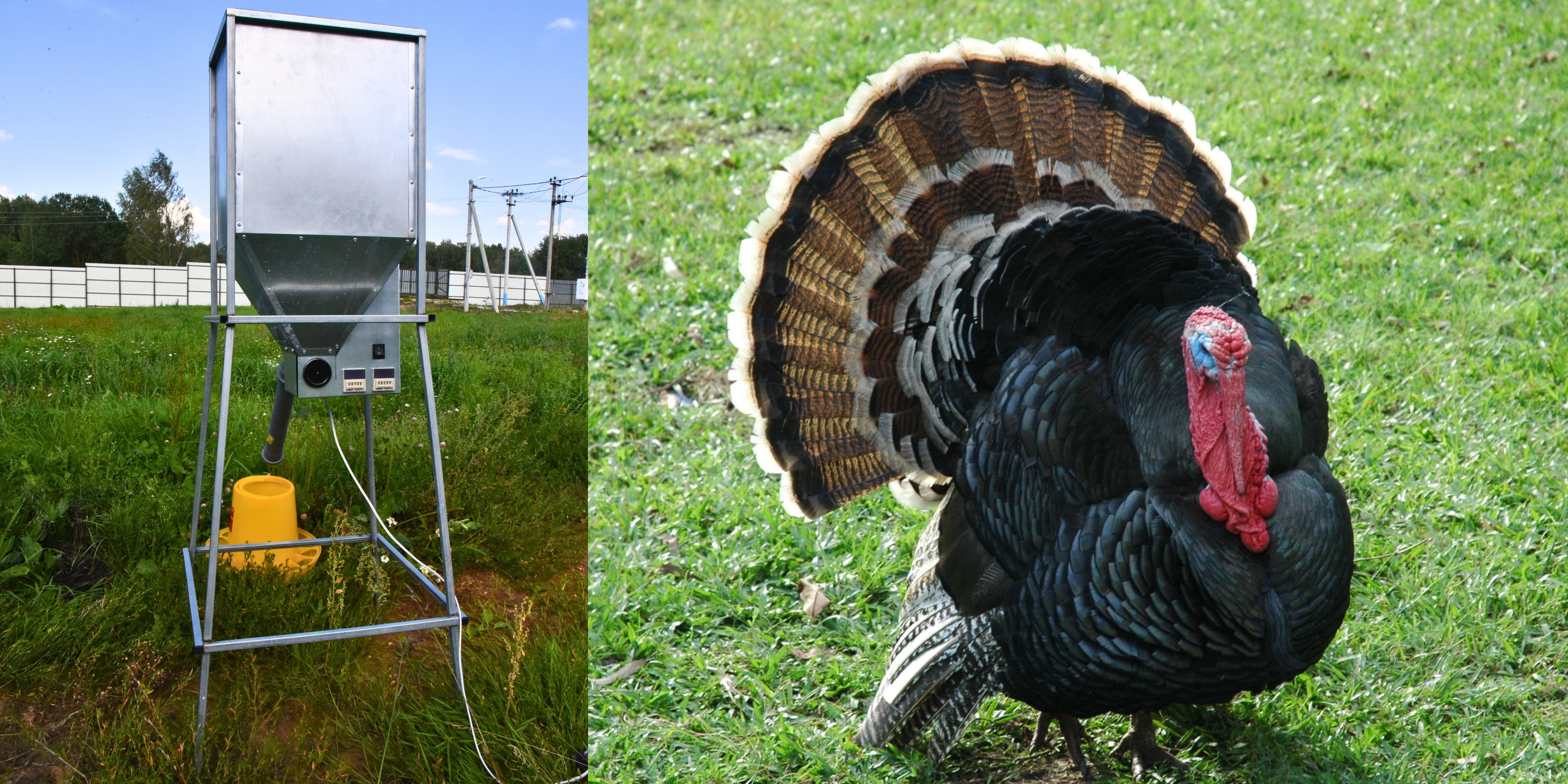 Бункер кормовой автоматический "Дозатор 45". Фото 21 Бункер кормовой автоматический "Дозатор 45". Фото 21