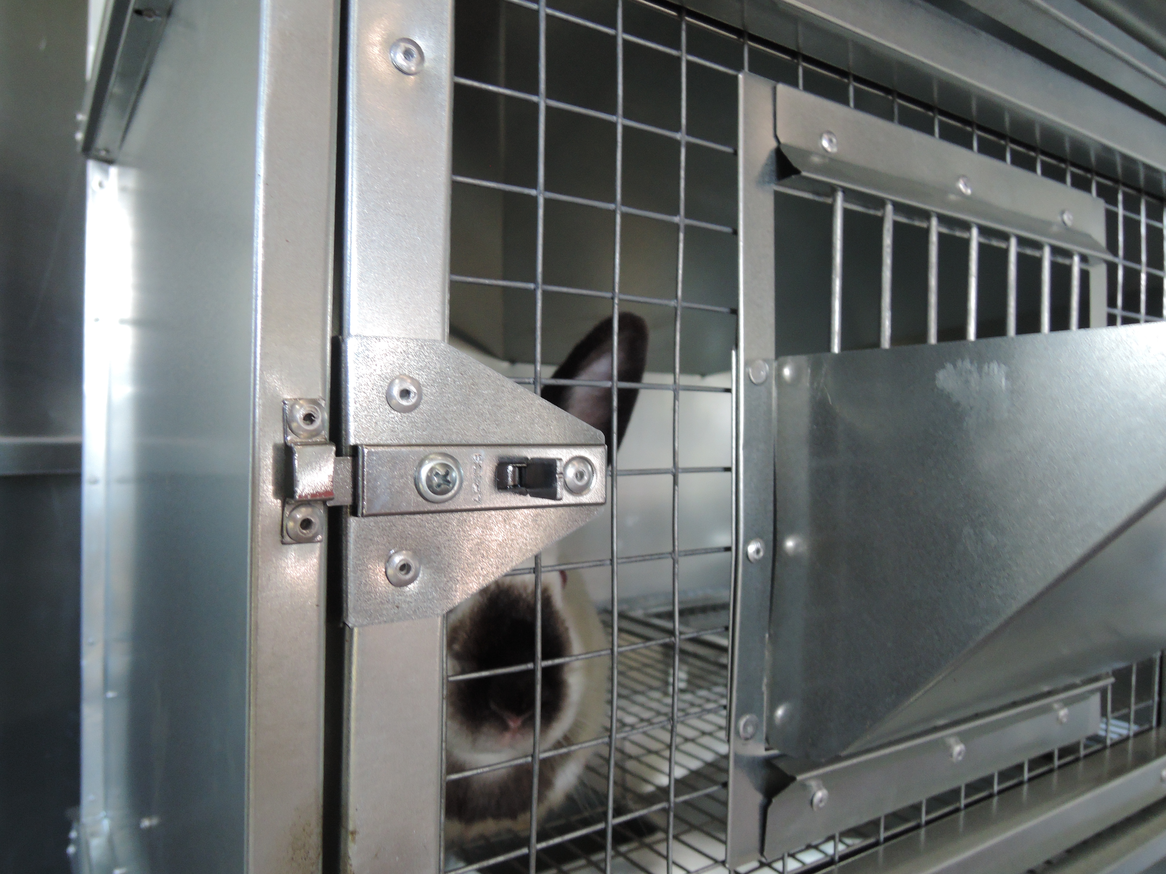 Клетка для кроликов "Профессионал  Элит" 95-КО-3. Фото 4