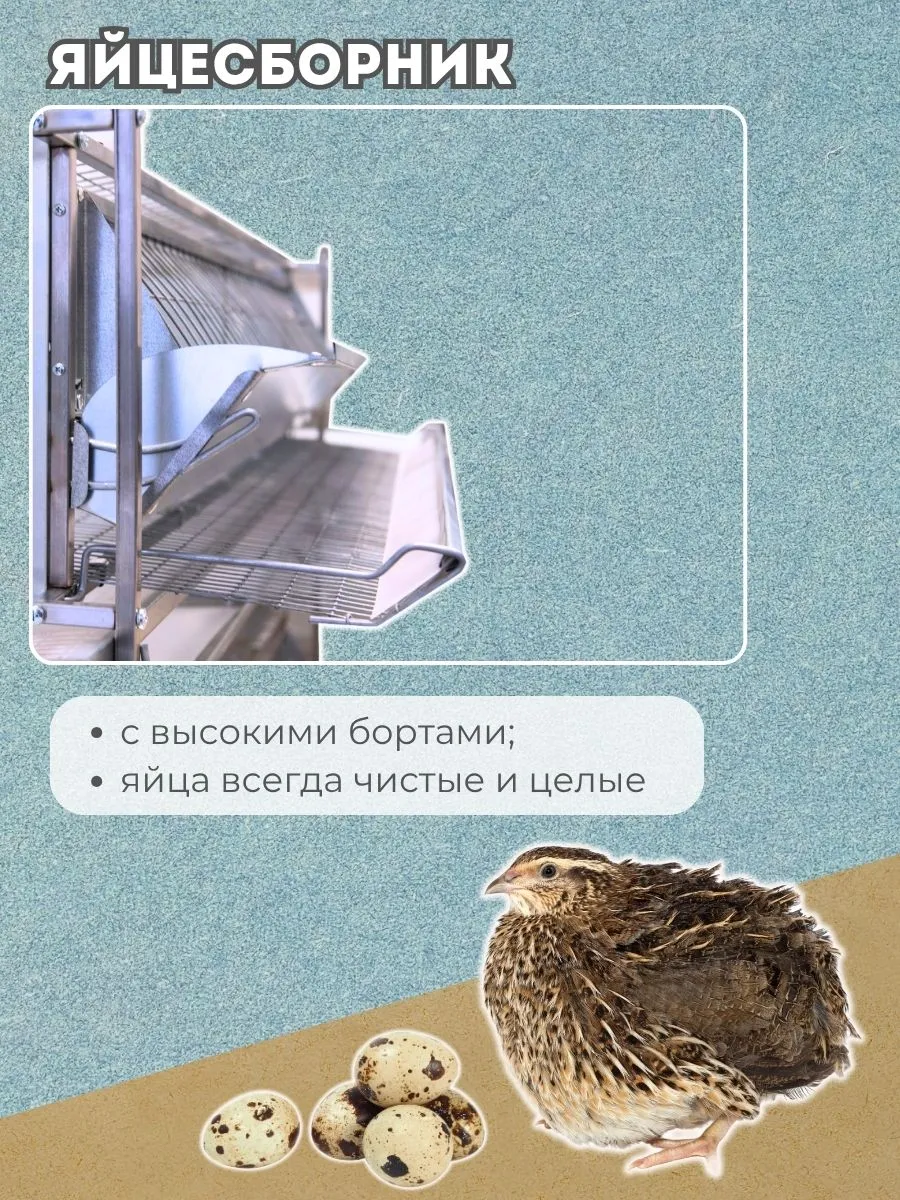 Клетка для перепелов "База-сетка" на 165 голов "МультиПро". Фото 5
