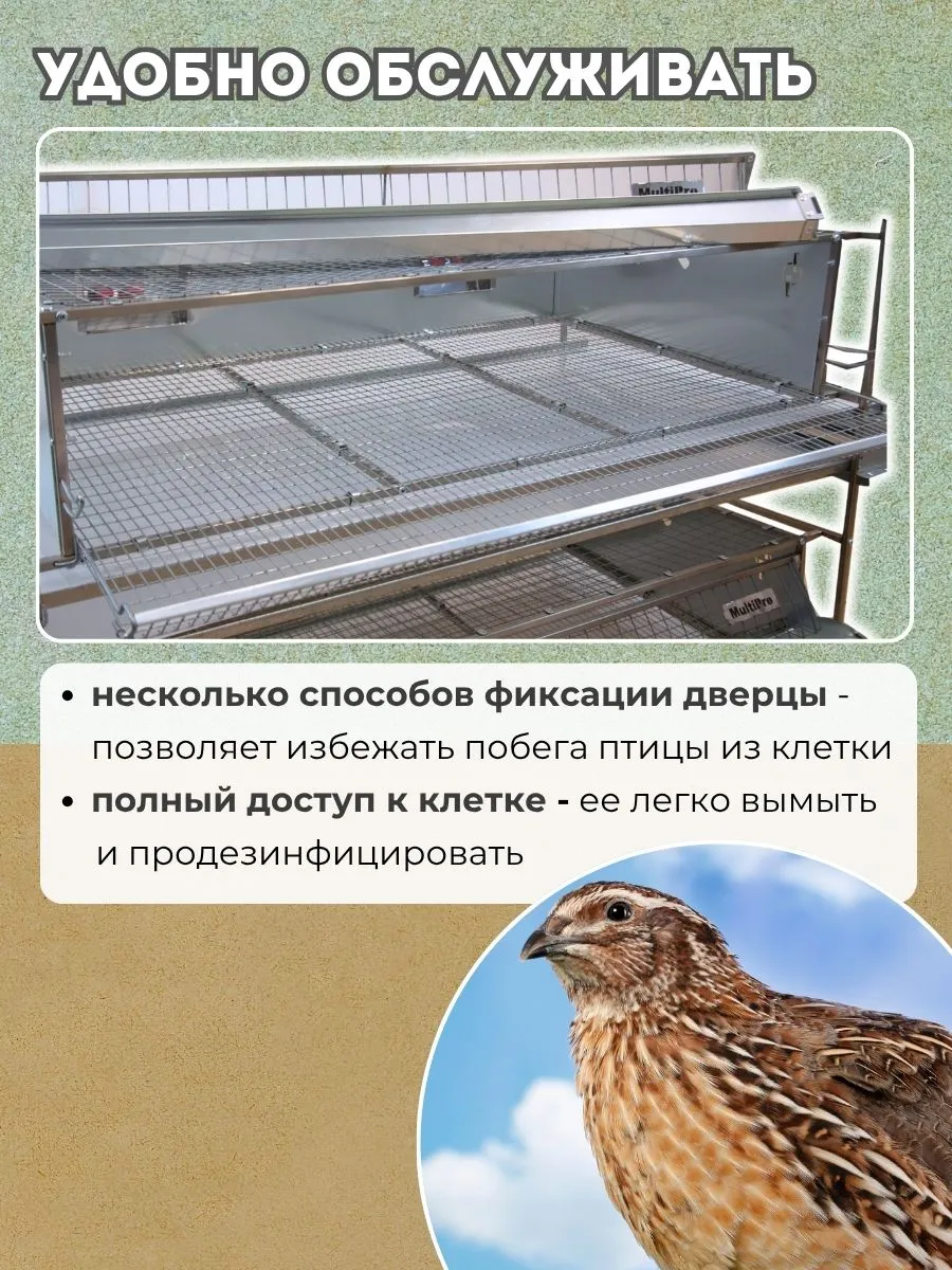 Клетка для перепелов "Люкс-металл" на 55 голов "МультиПро". Фото 6