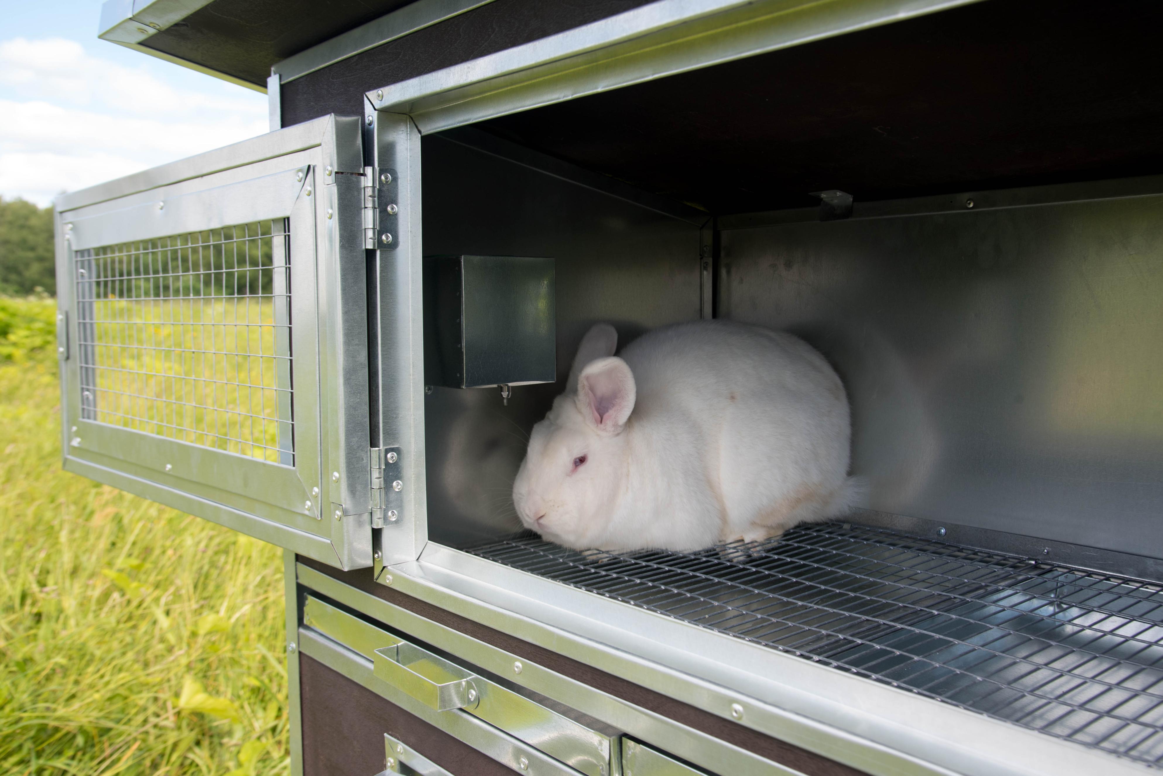 Утепленный отапливаемый крольчатник "Бестселлер" О-11. Фото 13 Утепленный отапливаемый крольчатник "Бестселлер" О-11. Фото 13