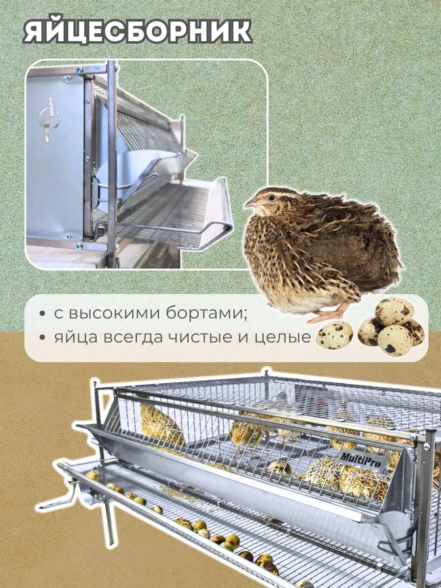 Клетка для перепелов "Люкс-сетка" на 55 голов "МультиПро". Фото 2 Клетка для перепелов "Люкс-сетка" на 55 голов "МультиПро". Фото 2