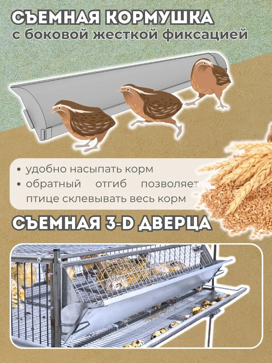Клетка для перепелов "Люкс-сетка" на 55 голов "МультиПро". Фото 4 Клетка для перепелов "Люкс-сетка" на 55 голов "МультиПро". Фото 4