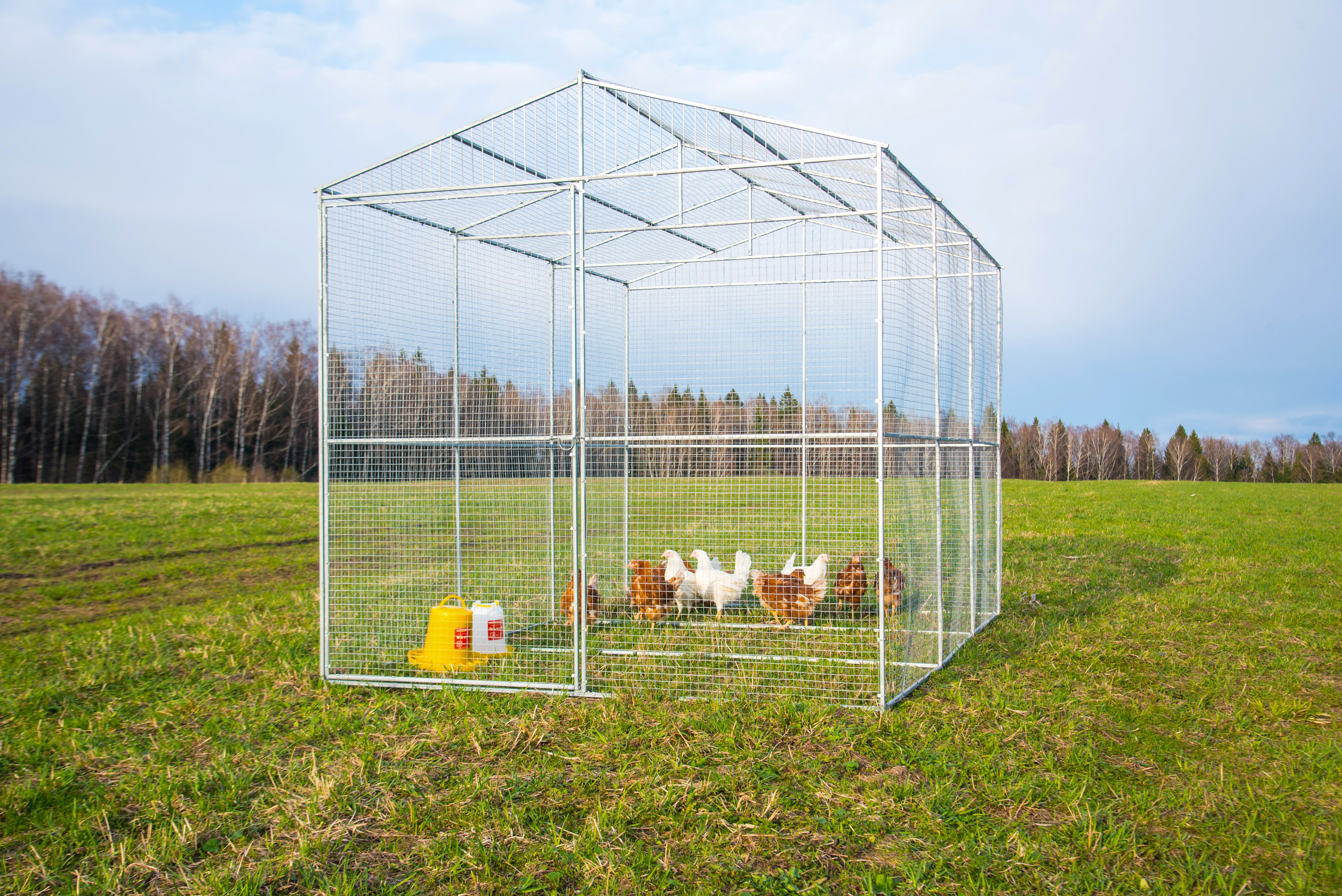 Выгул "Разгуляй" из сетки 2-6-С. Фото 1