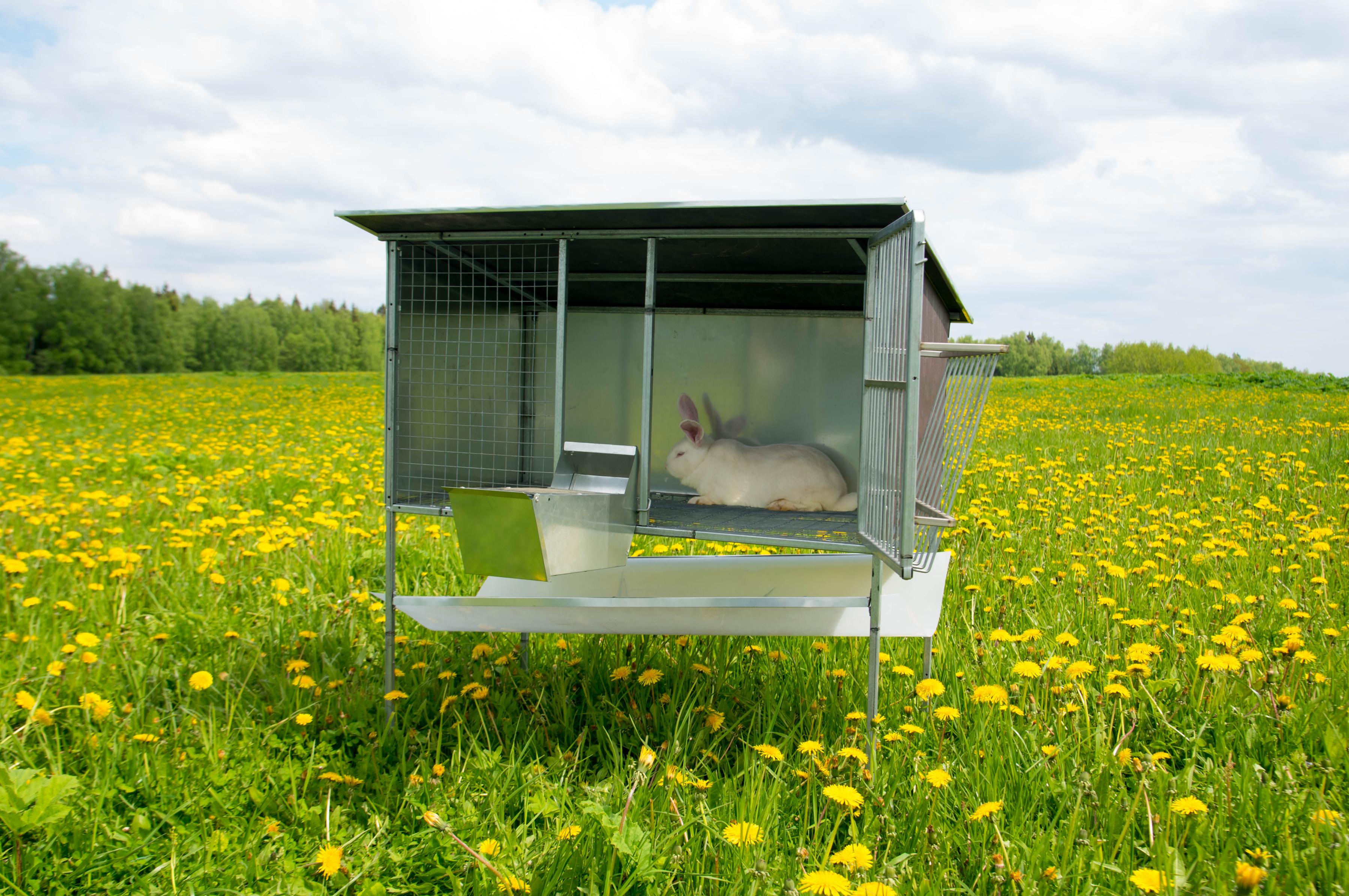 Уличный домик для кроликов "Фазенда" КО-2. Фото 8 Уличный домик для кроликов "Фазенда" КО-2. Фото 8