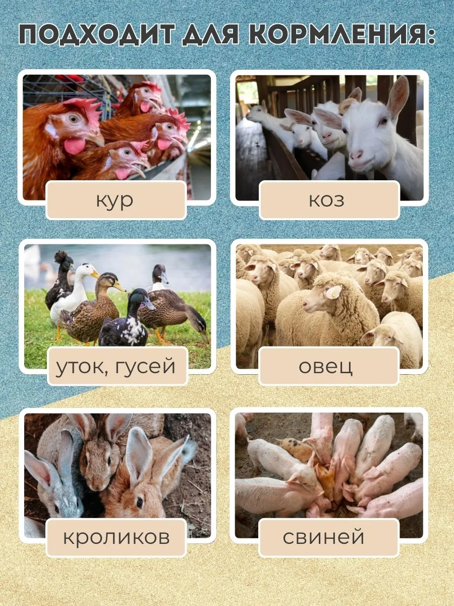 Гранулятор 150-200 кг/ч, 4 кВт, 220В  D матрицы 13.7 см. Фото 7