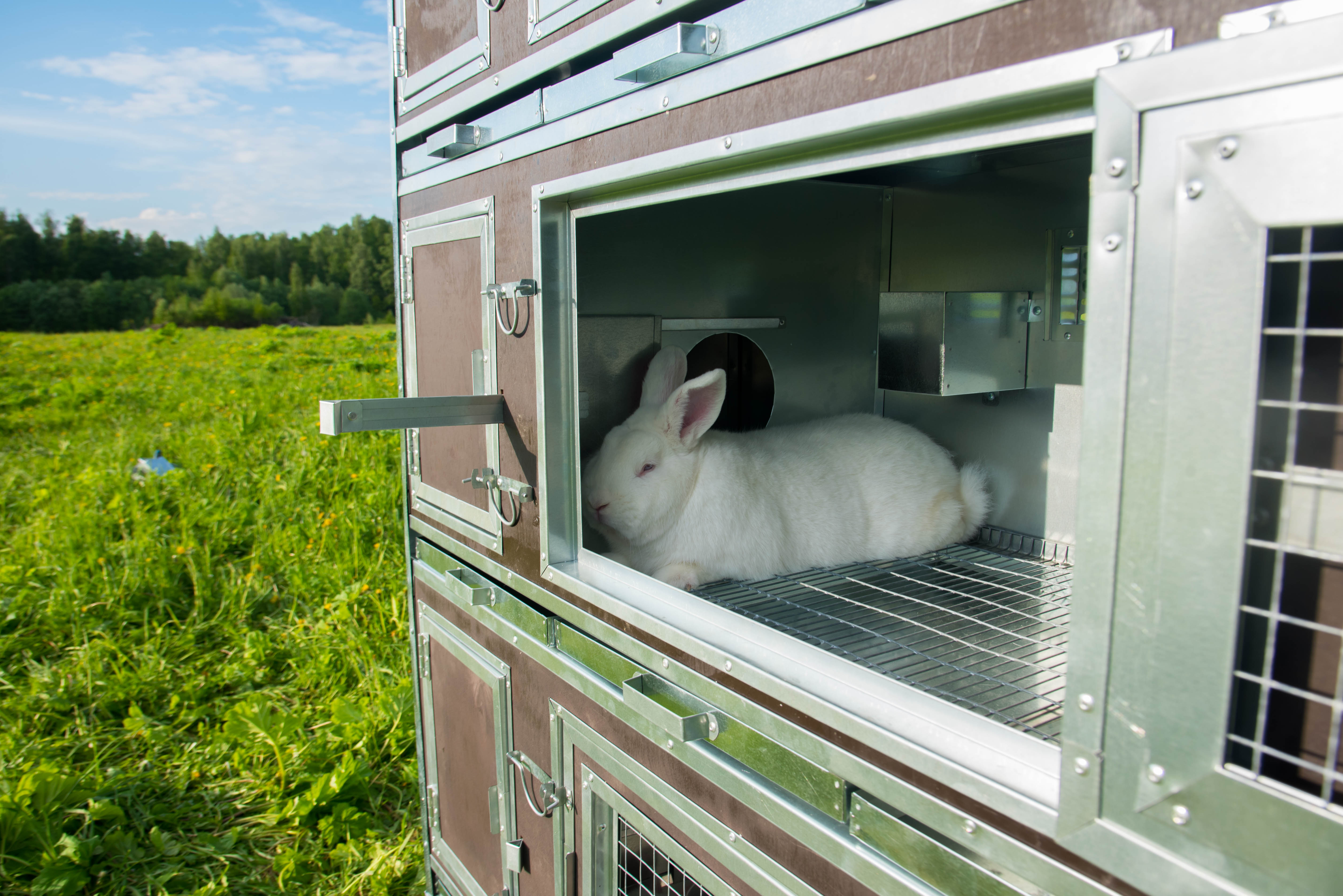 Утепленный отапливаемый крольчатник "Бестселлер" М-11. Фото 11