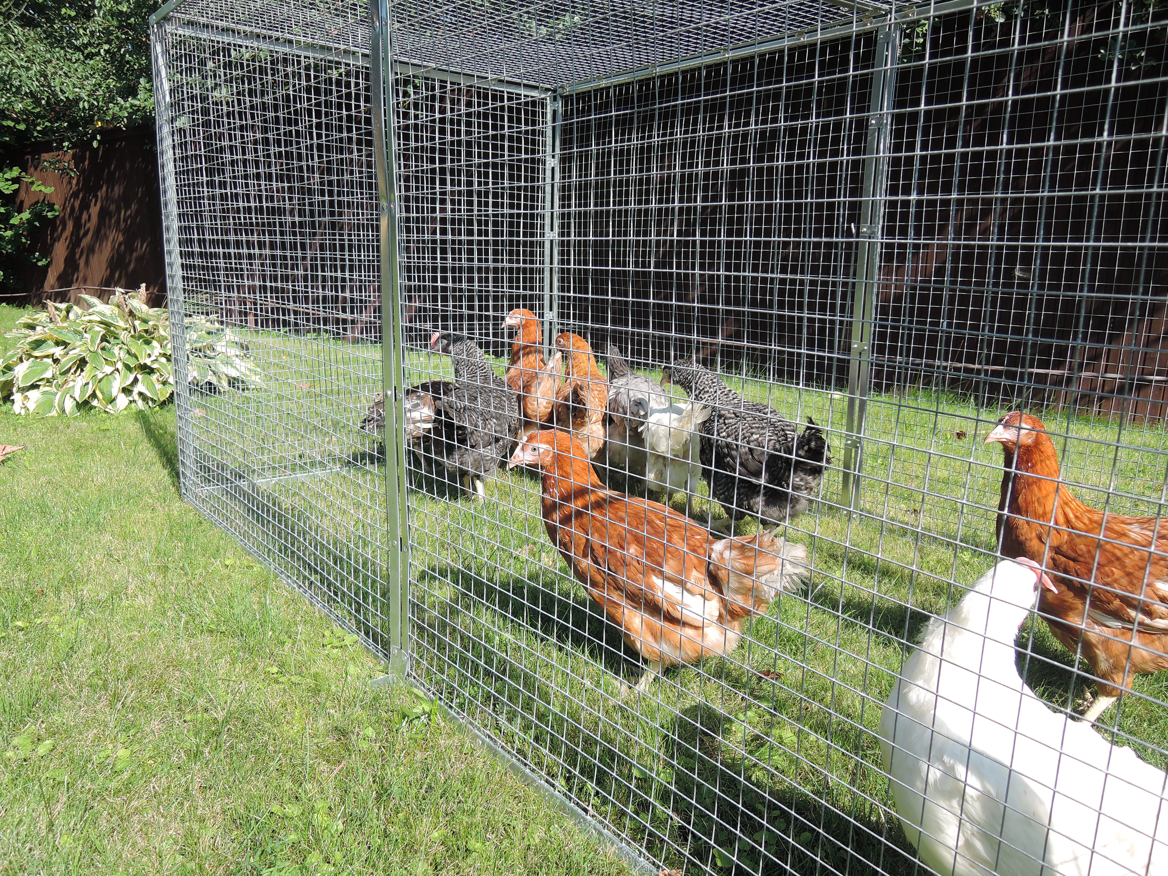 Выгул "Лужайка"-4. Фото 7