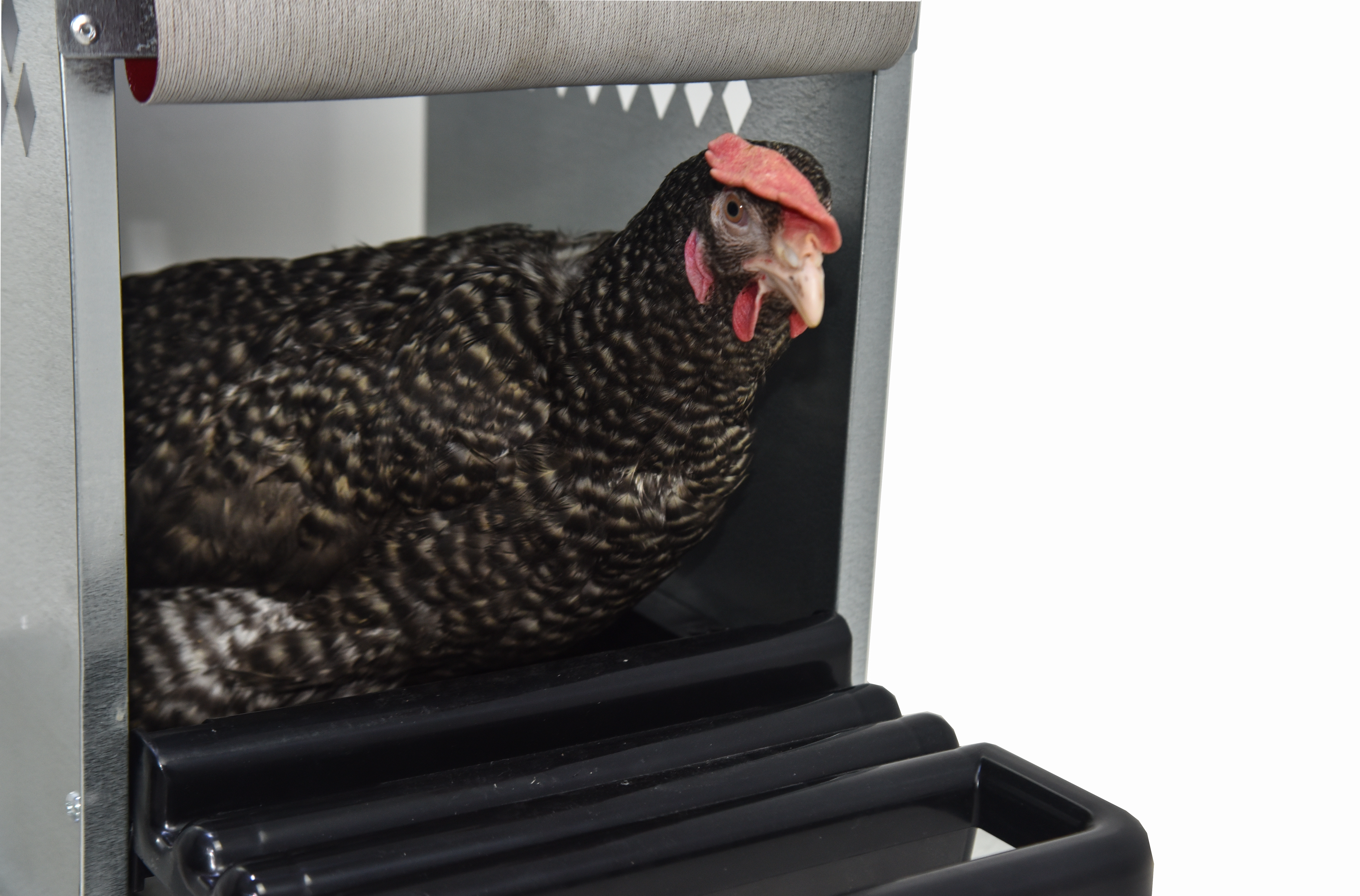 Гнездо для кур-несушек "Компакт" 1-2. Фото 8