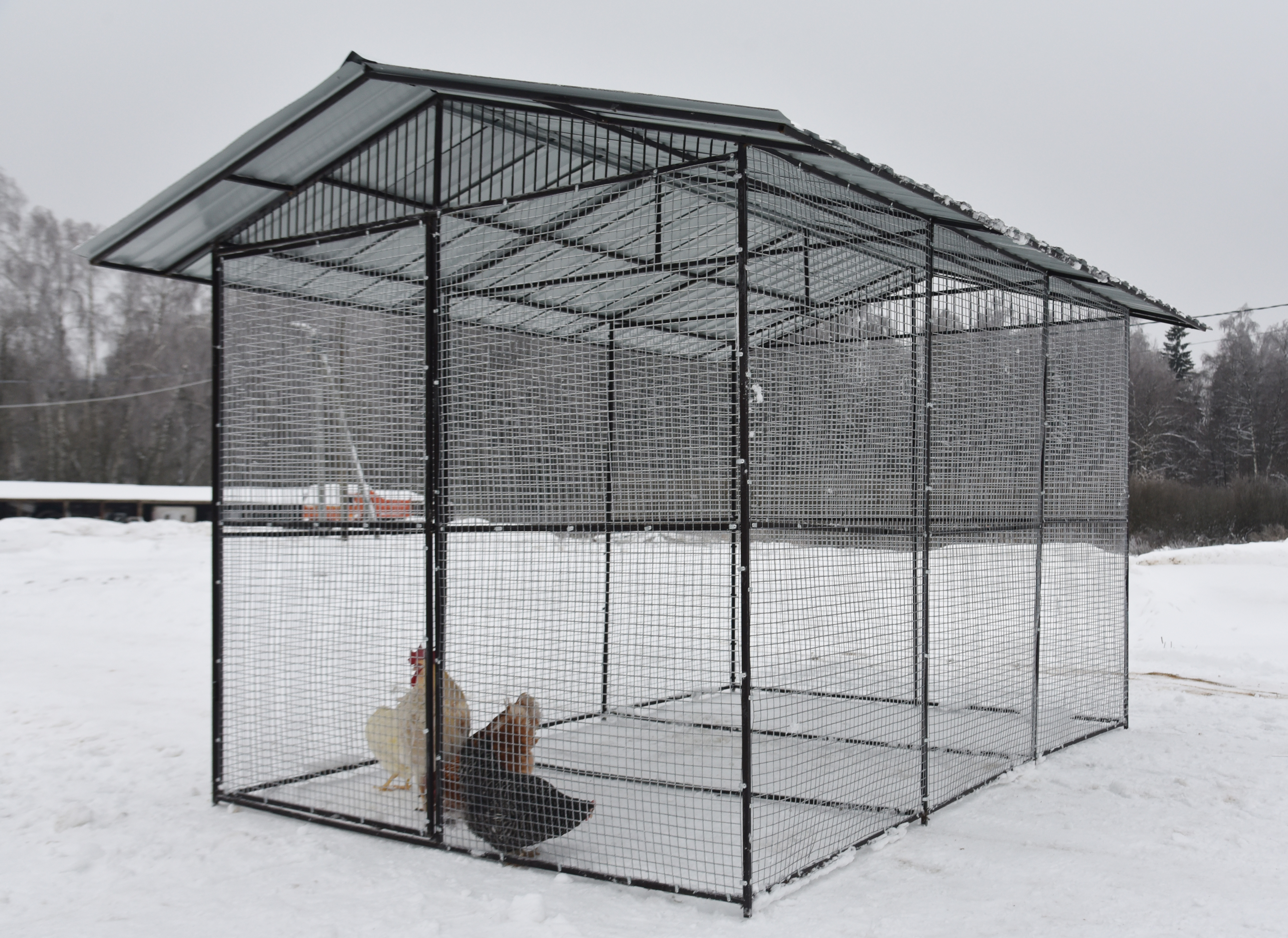 Выгул "Разгуляй" с крышей 2-6-К. Фото 10 Выгул "Разгуляй" с крышей 2-6-К. Фото 10