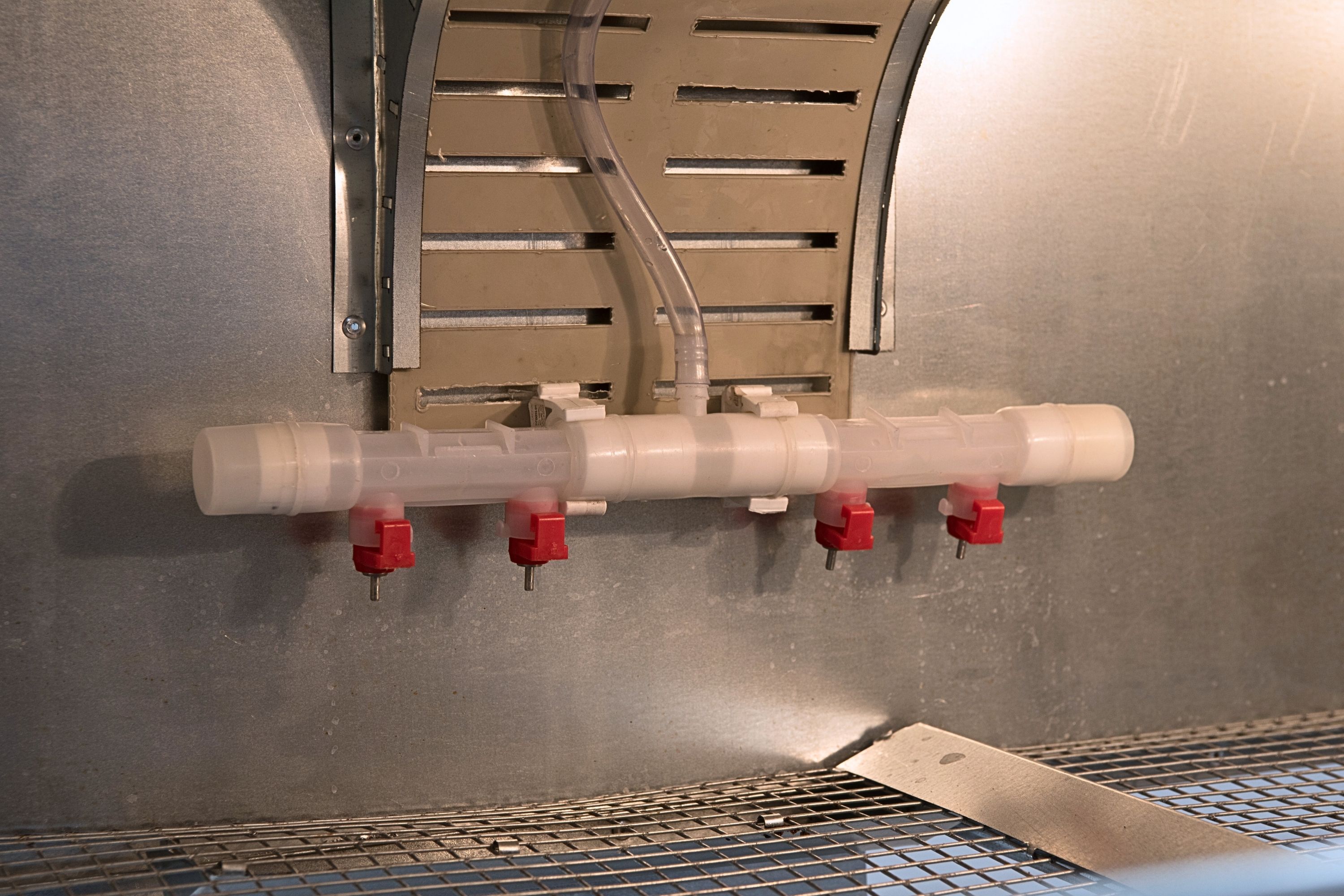 Брудер для цыплят автоматический "Рост А100.3". Фото 10