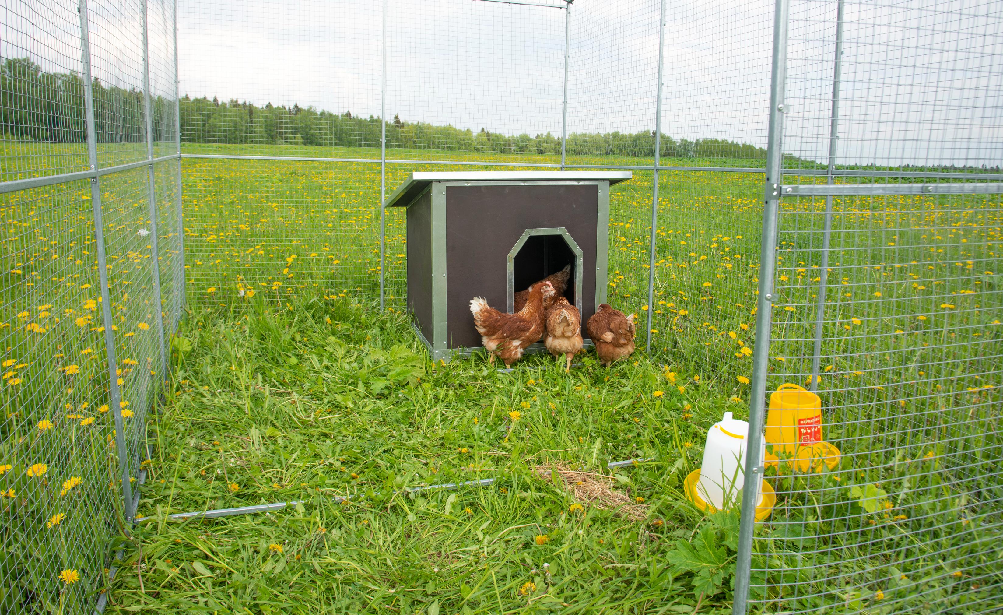 Выгул "Разгуляй" с крышей 2-6-К. Фото 8 Выгул "Разгуляй" с крышей 2-6-К. Фото 8
