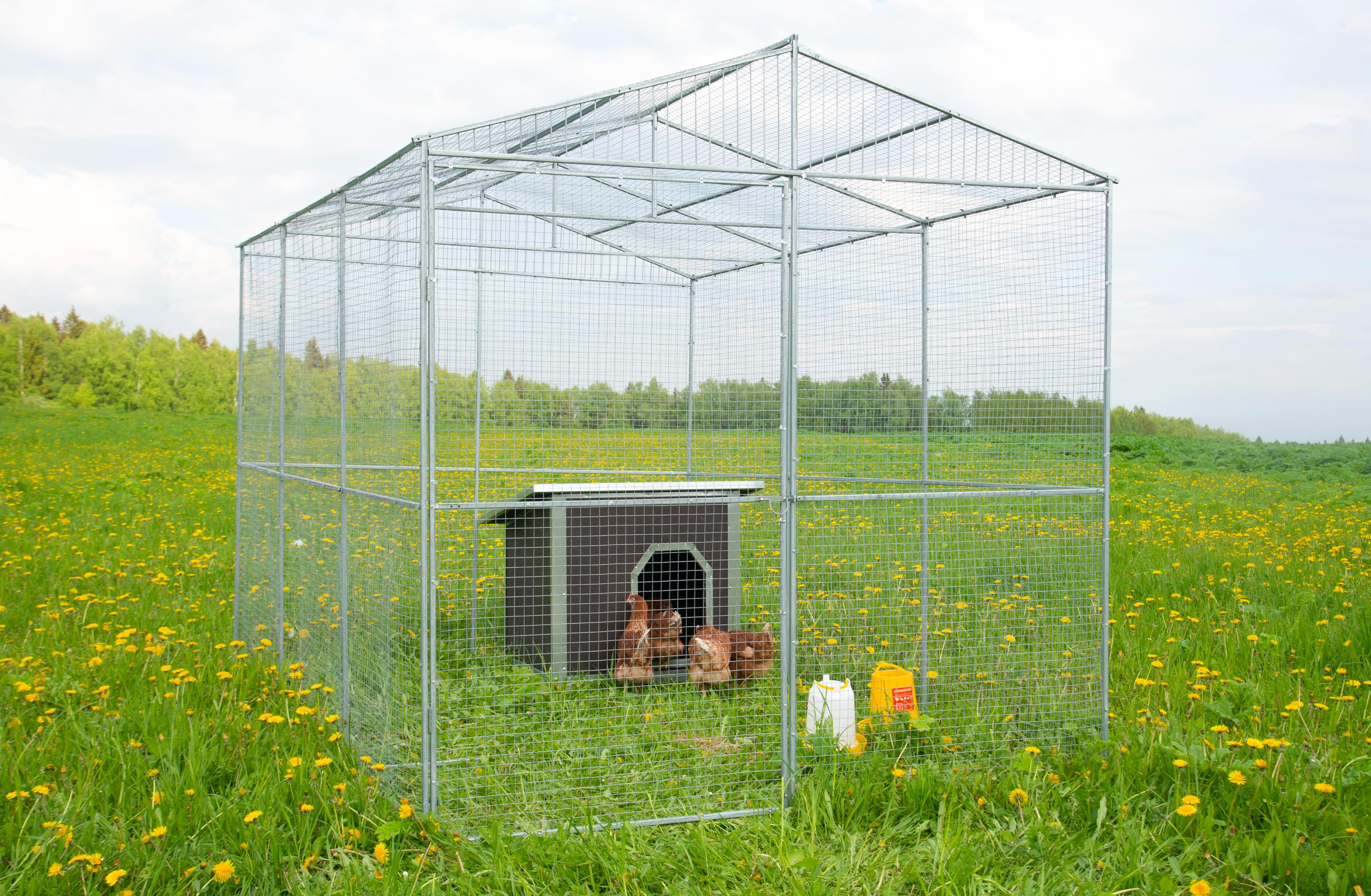 Выгул "Разгуляй" из сетки 2-7-С . Фото 9